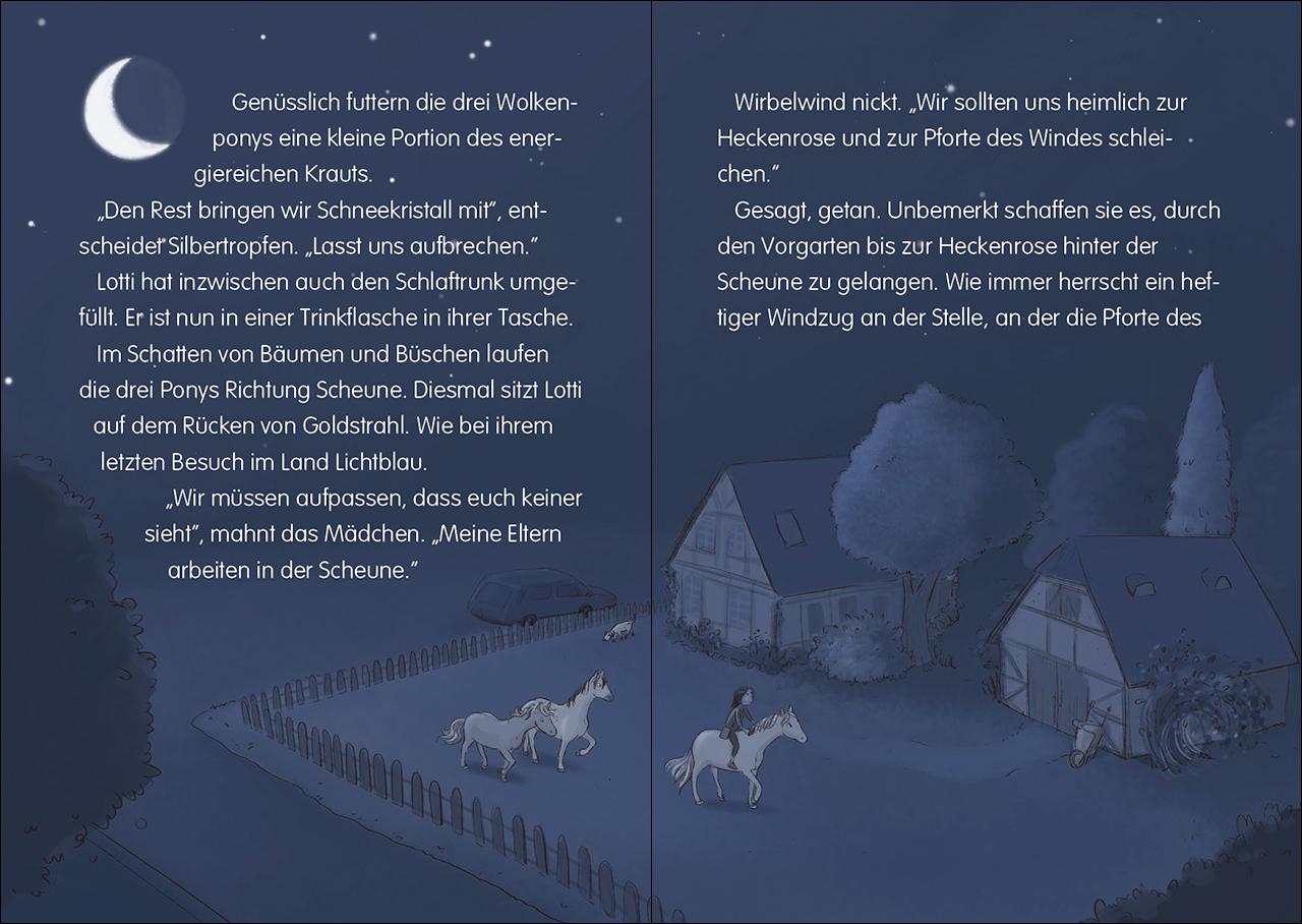 Beispielinhalt (Bild) Die Wolkenponys (Band 3) - Das verzauberte Schloss