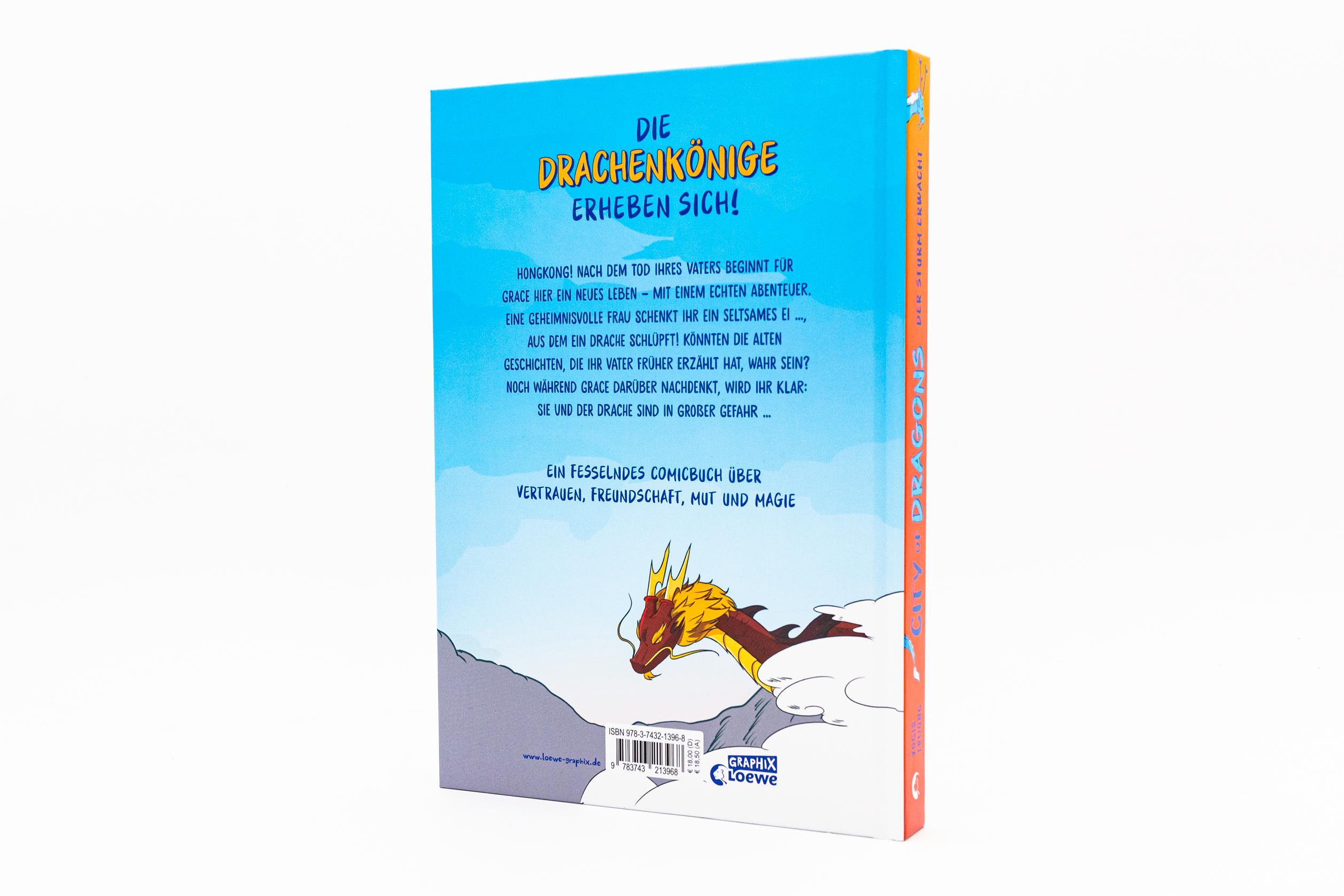 Beispielinhalt (Bild) City of Dragons (Band 1) - Der Sturm erwacht