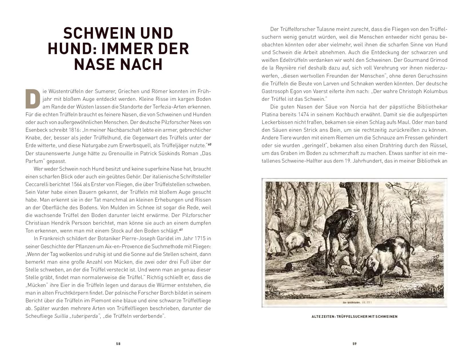 Beispielinhalt (Bild) Die Trüffel