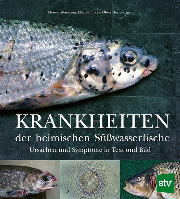 Vorderes Coverbild Krankheiten der heimischen Süßwasserfische