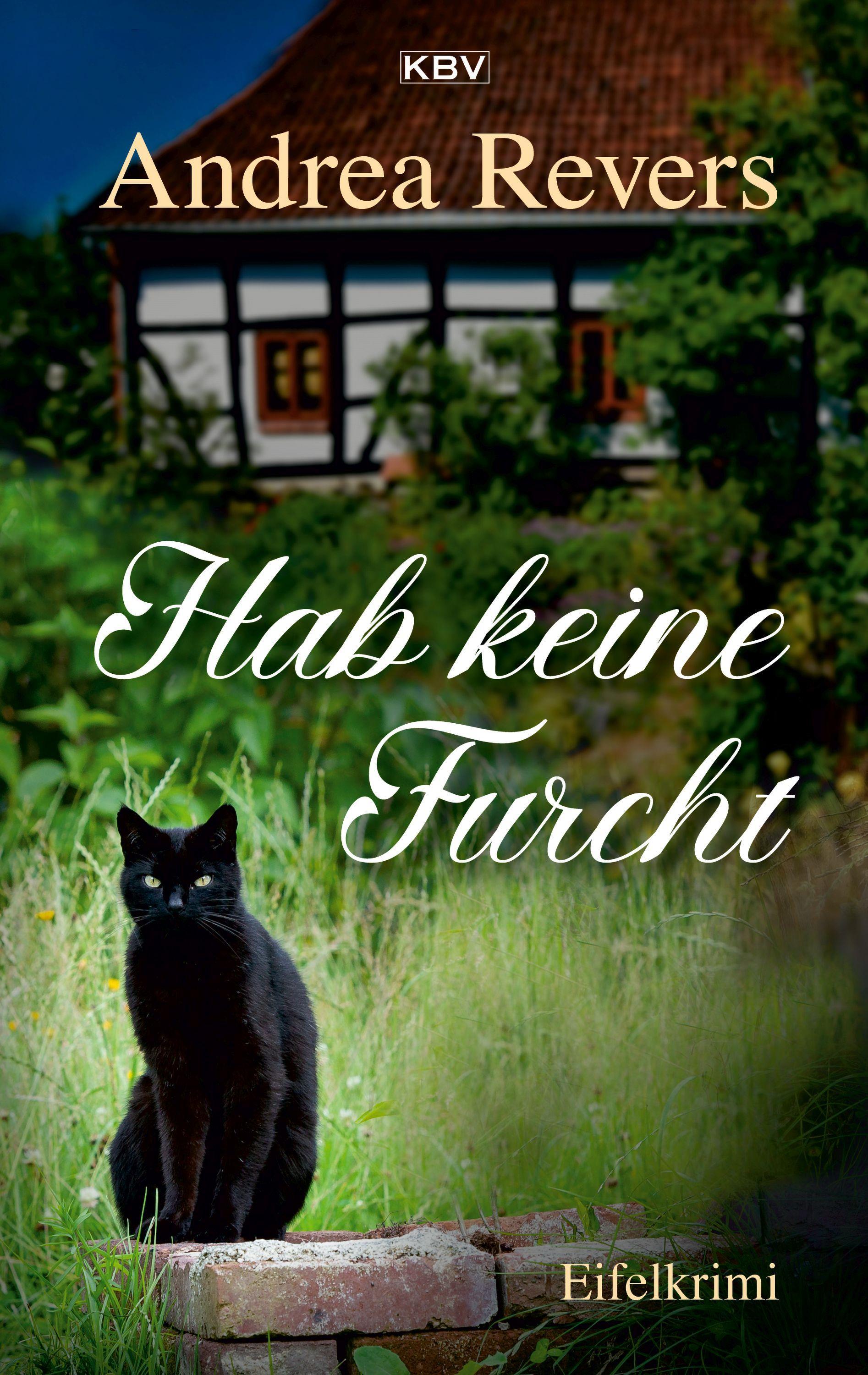Vorderes Coverbild Hab keine Furcht