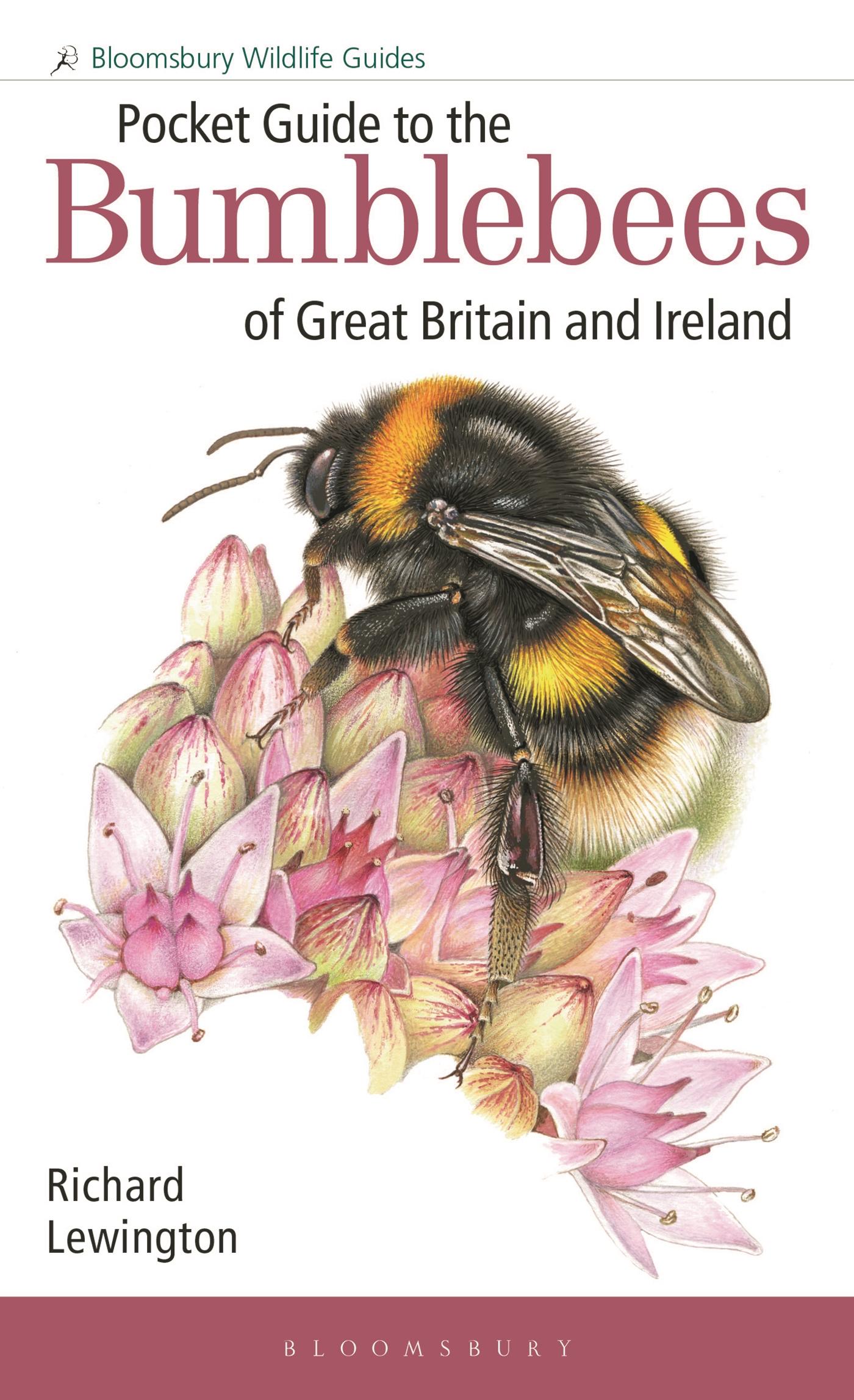Vorderes Coverbild Pocket Guide to the Bumblebees of Great Britain and Ireland