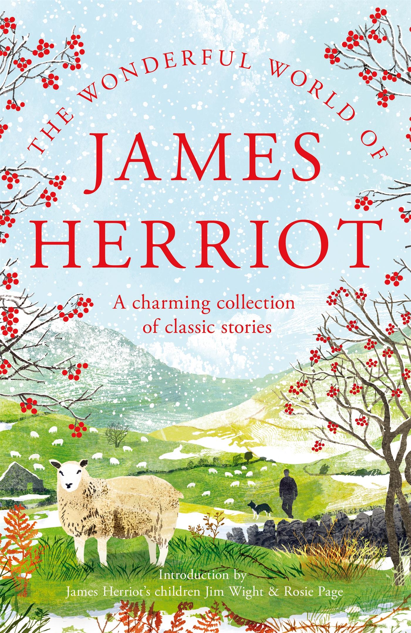 Vorderes Coverbild The Wonderful World of James Herriot