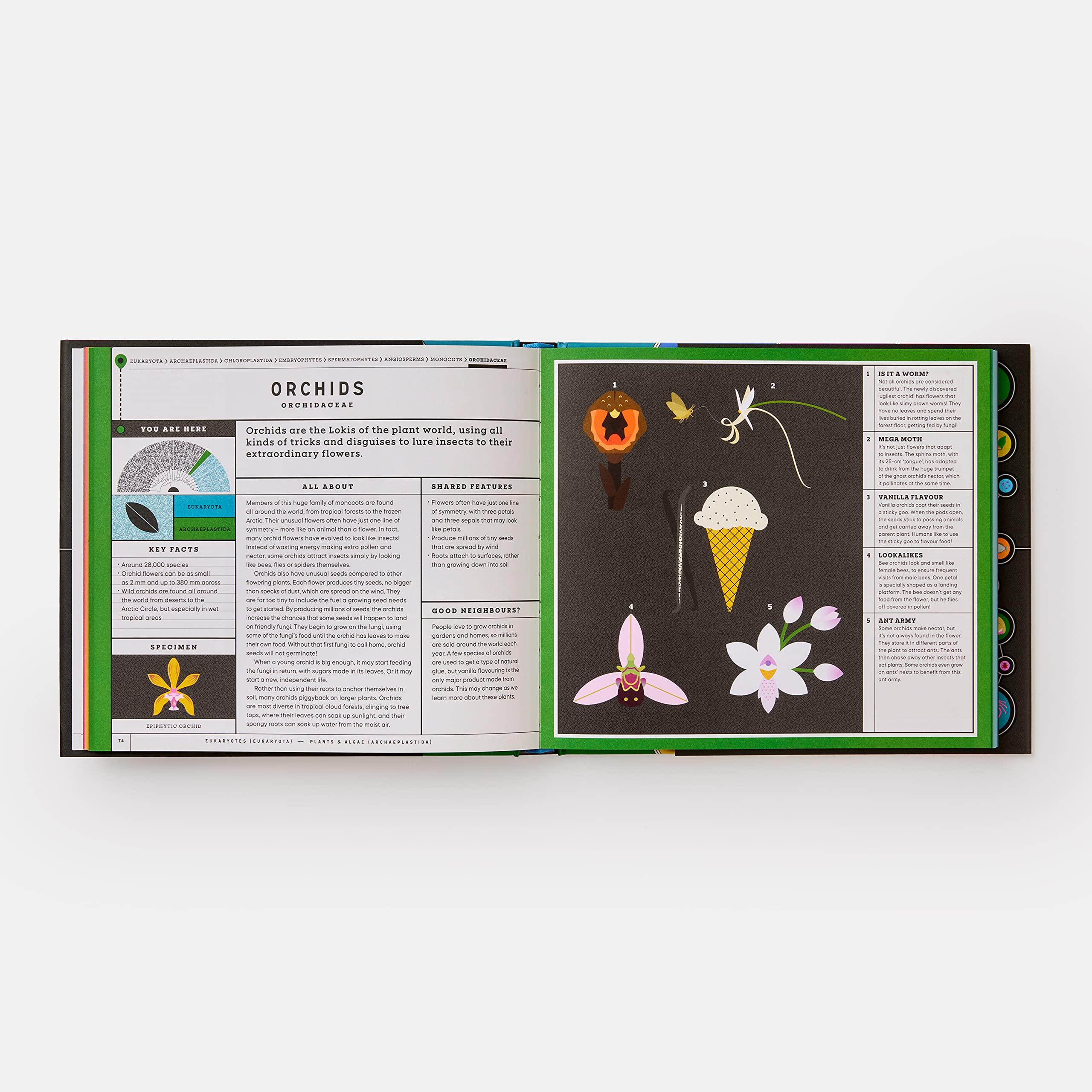 Beispielinhalt (Bild) Full of Life