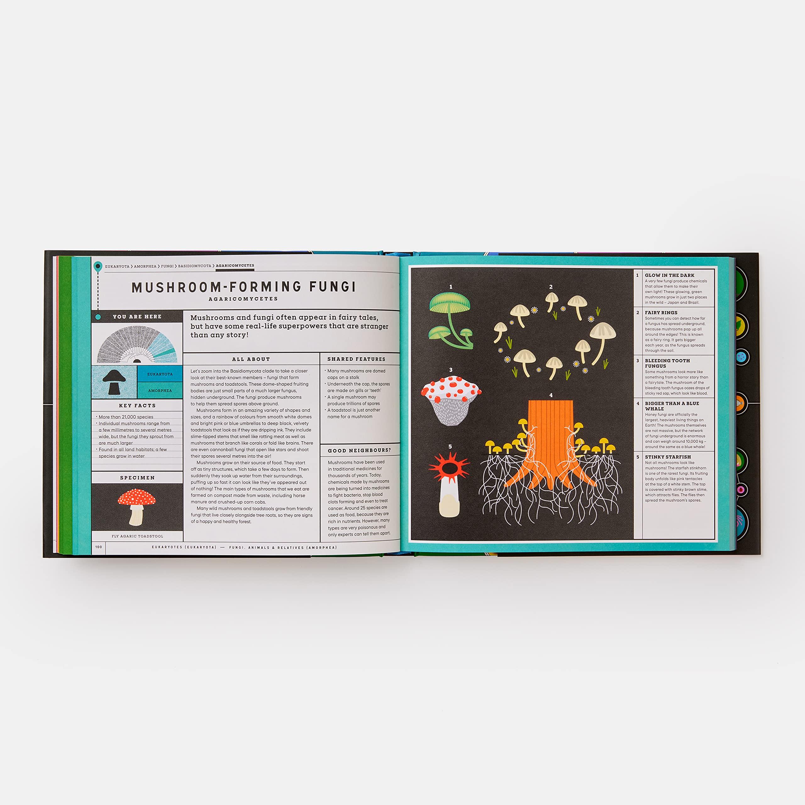 Beispielinhalt (Bild) Full of Life