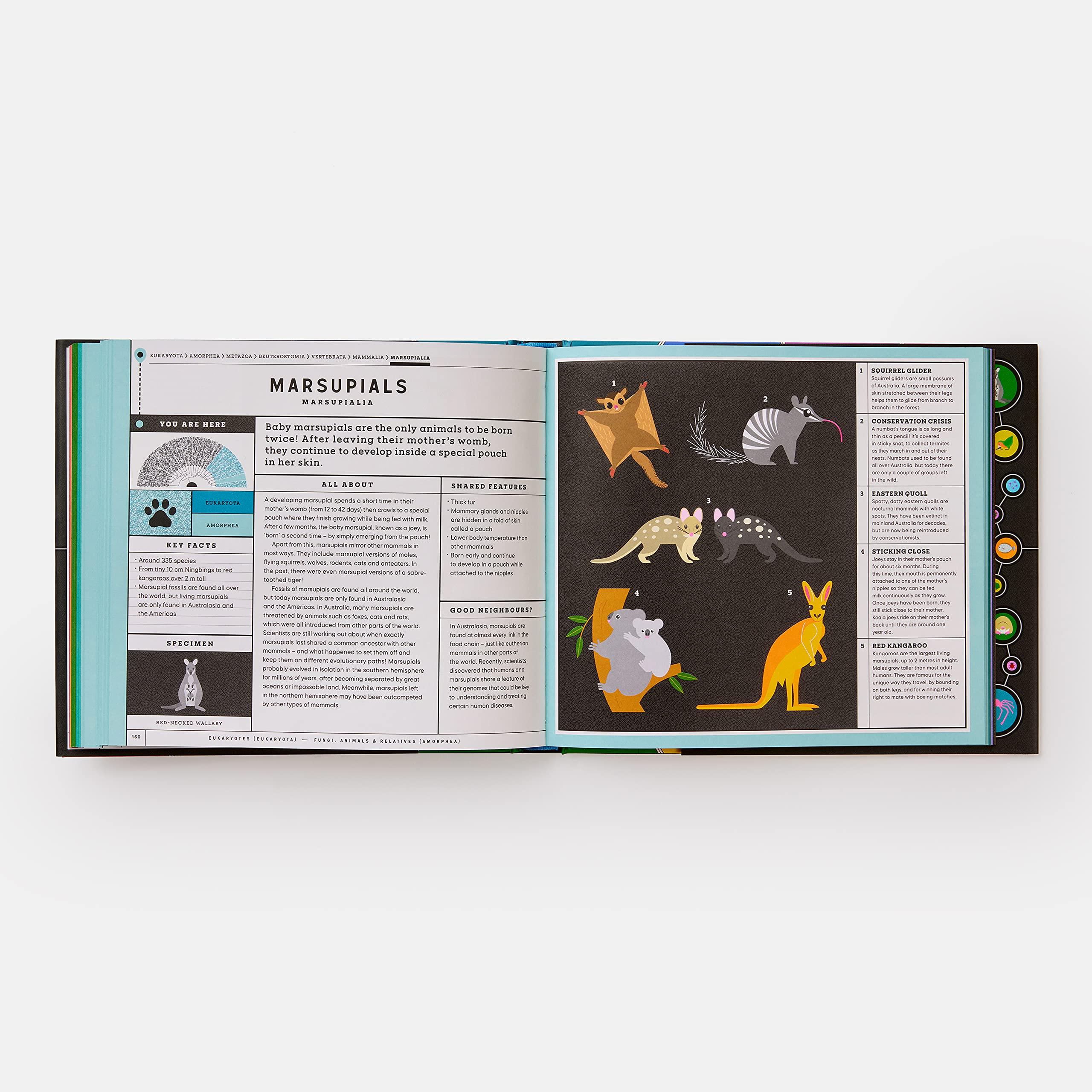 Beispielinhalt (Bild) Full of Life