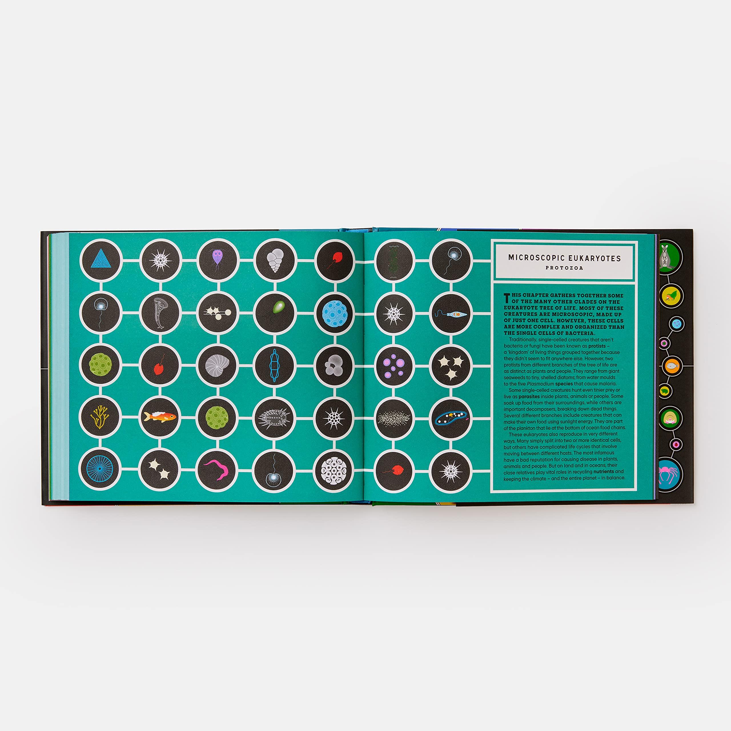 Beispielinhalt (Bild) Full of Life