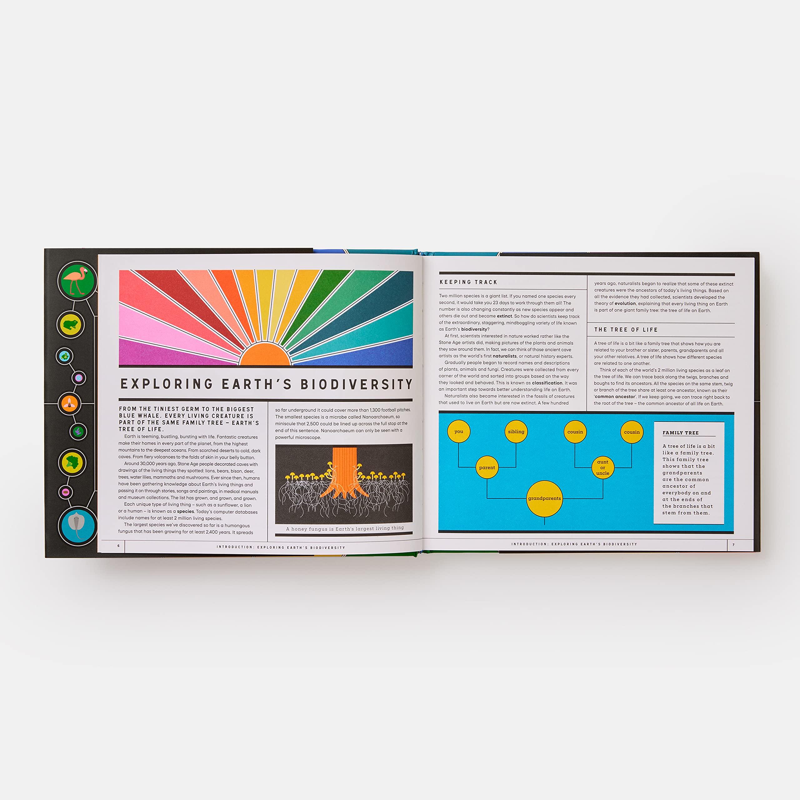 Beispielinhalt (Bild) Full of Life