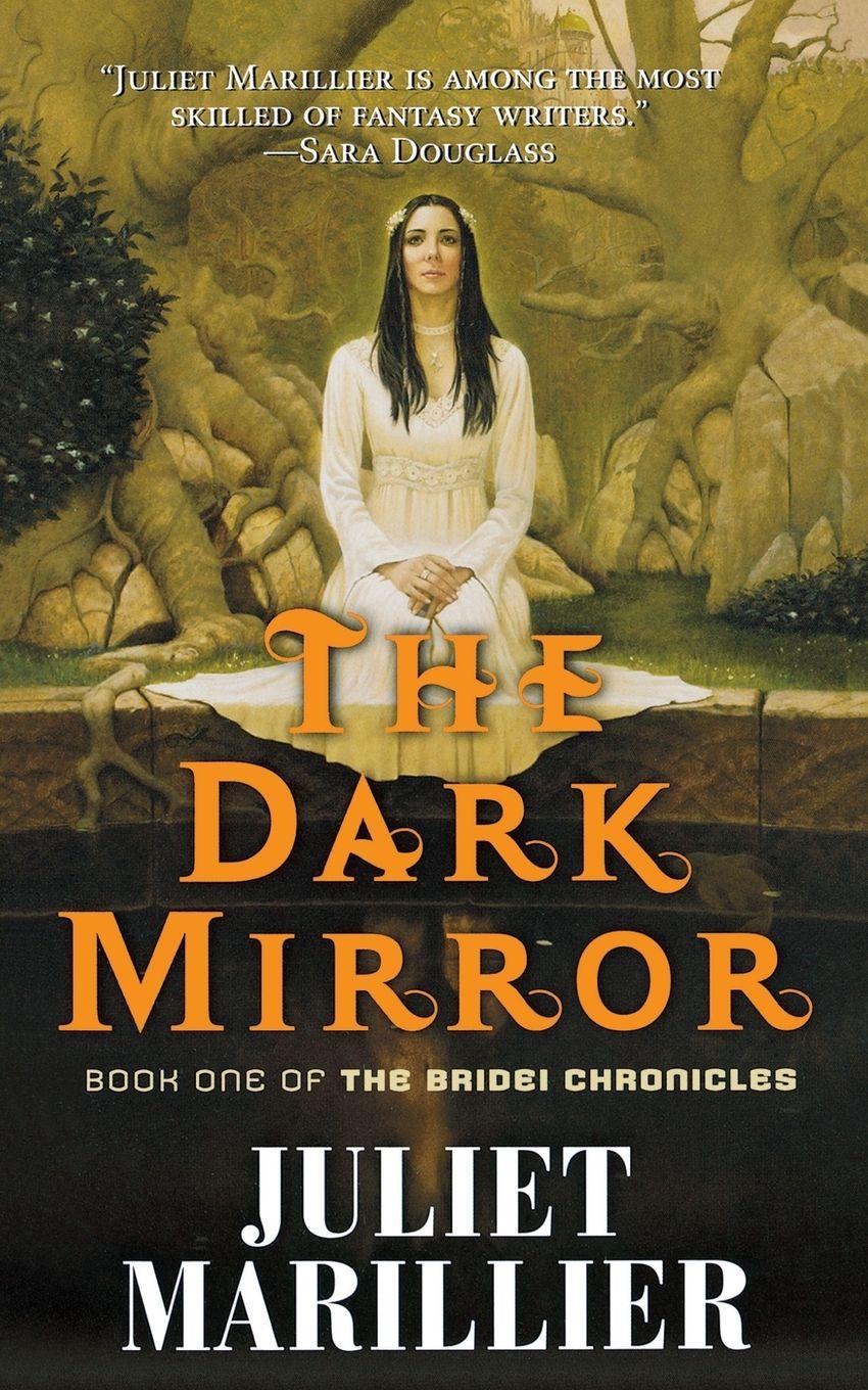 Vorderes Coverbild The Dark Mirror