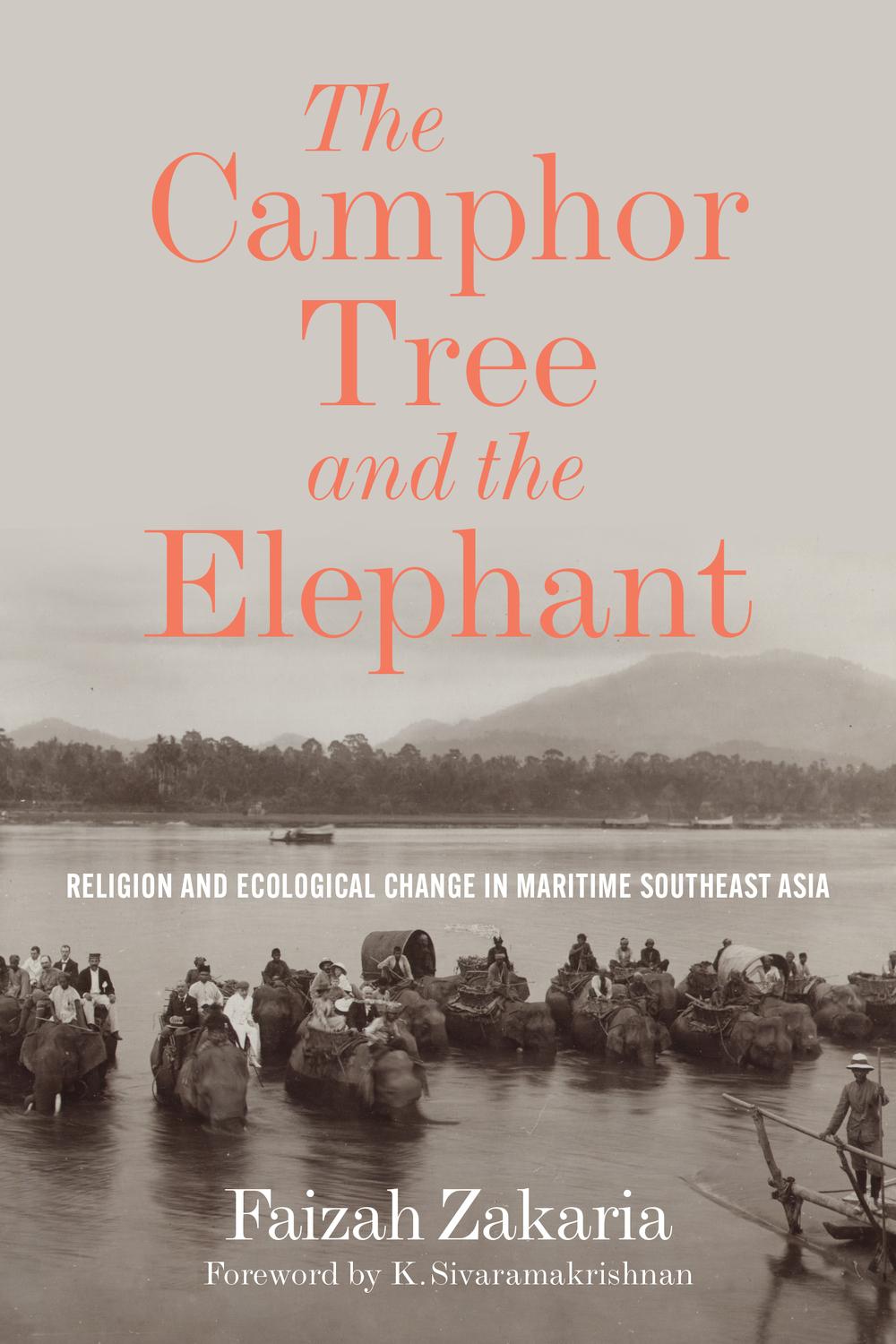 Vorderes Coverbild The Camphor Tree and the Elephant