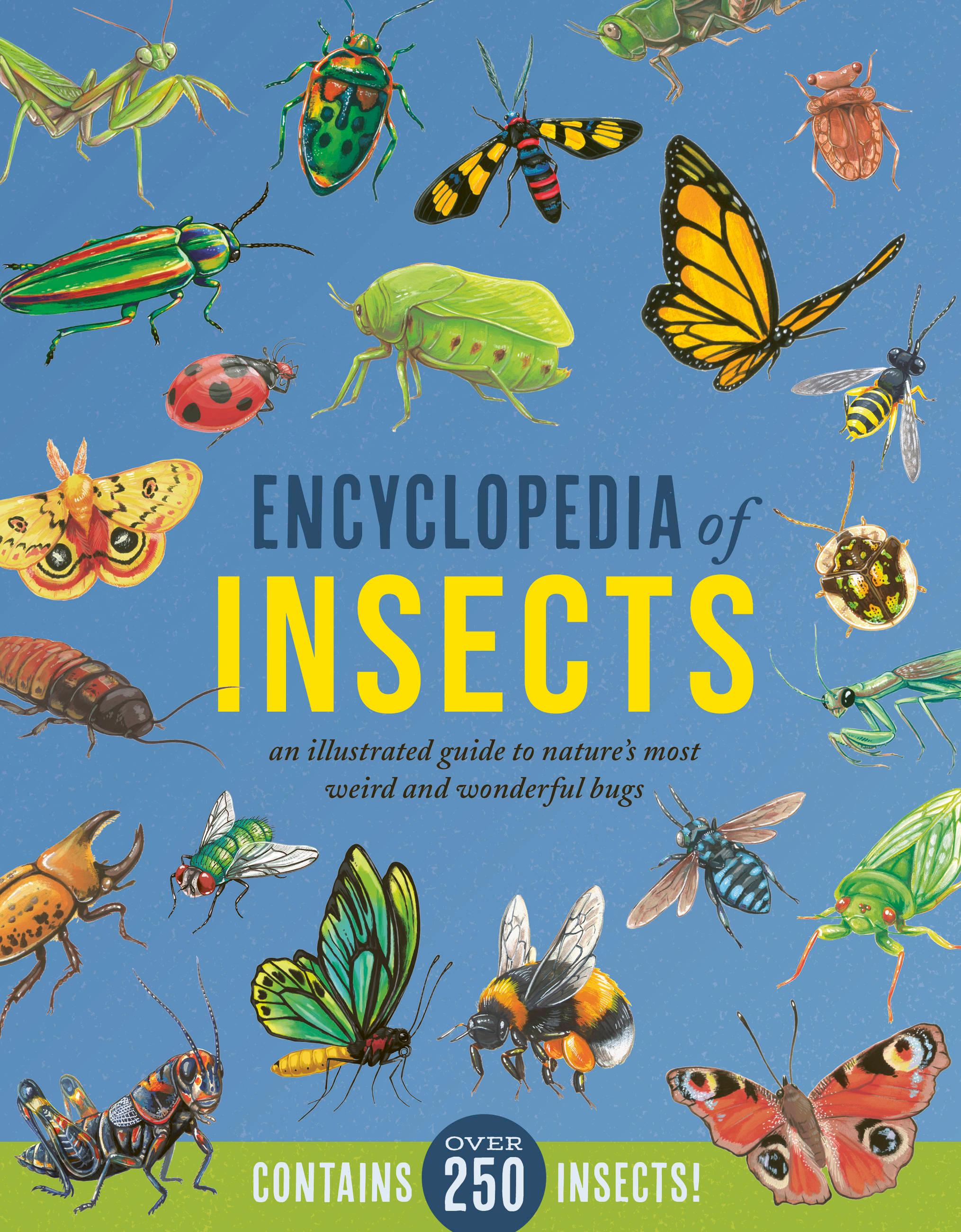 Vorderes Coverbild Encyclopedia of Insects