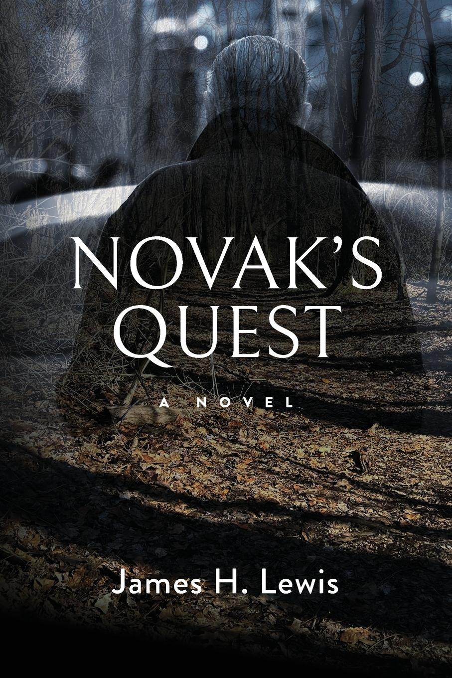 Vorderes Coverbild Novak's Quest