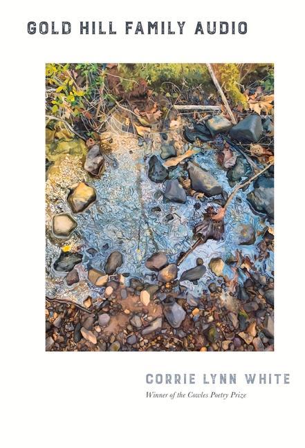 Vorderes Coverbild Gold Hill Family Audio