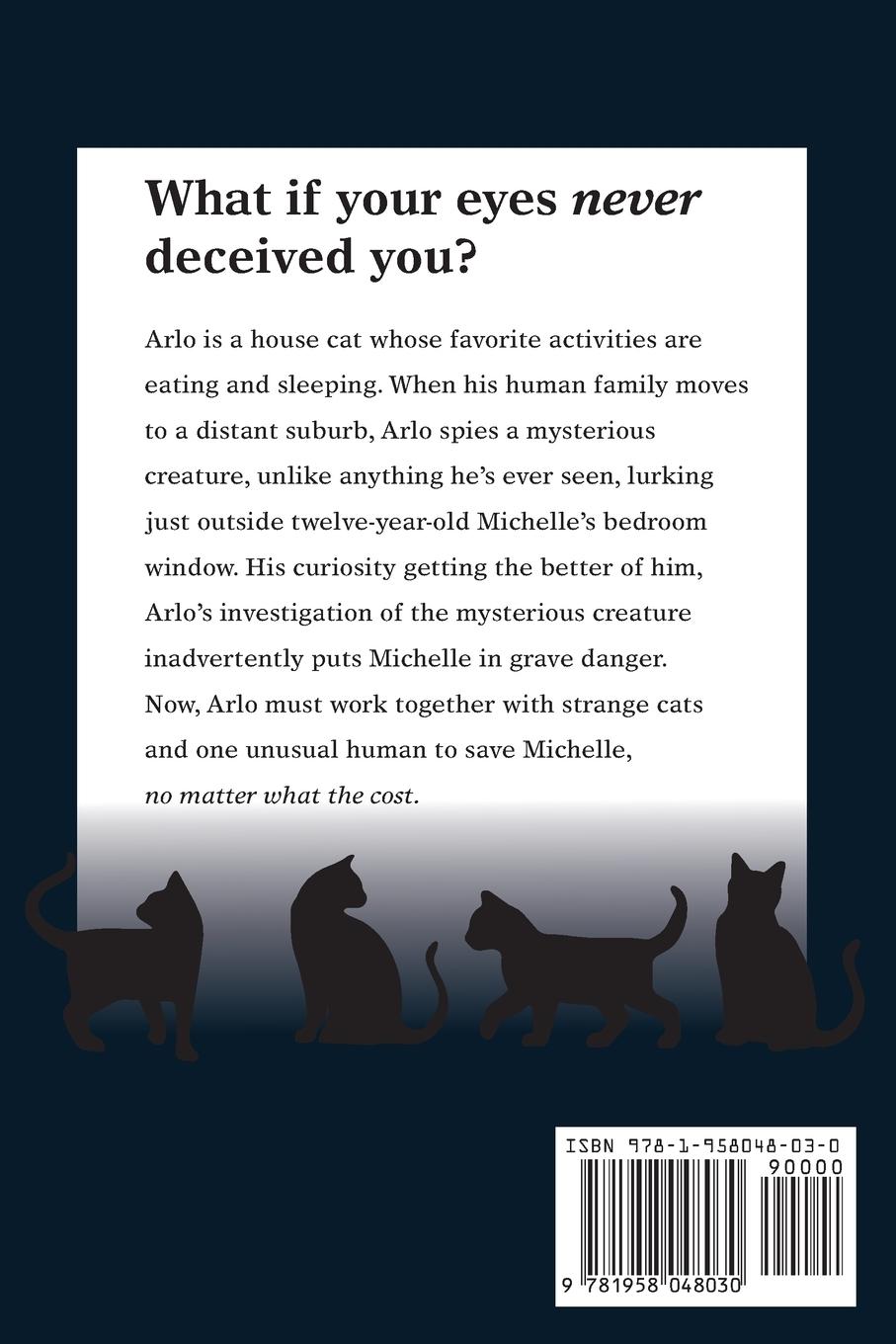 Rückseitencover Shadow Guardians