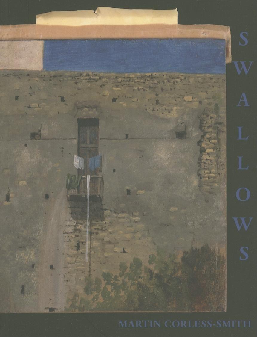 Vorderes Coverbild Swallows