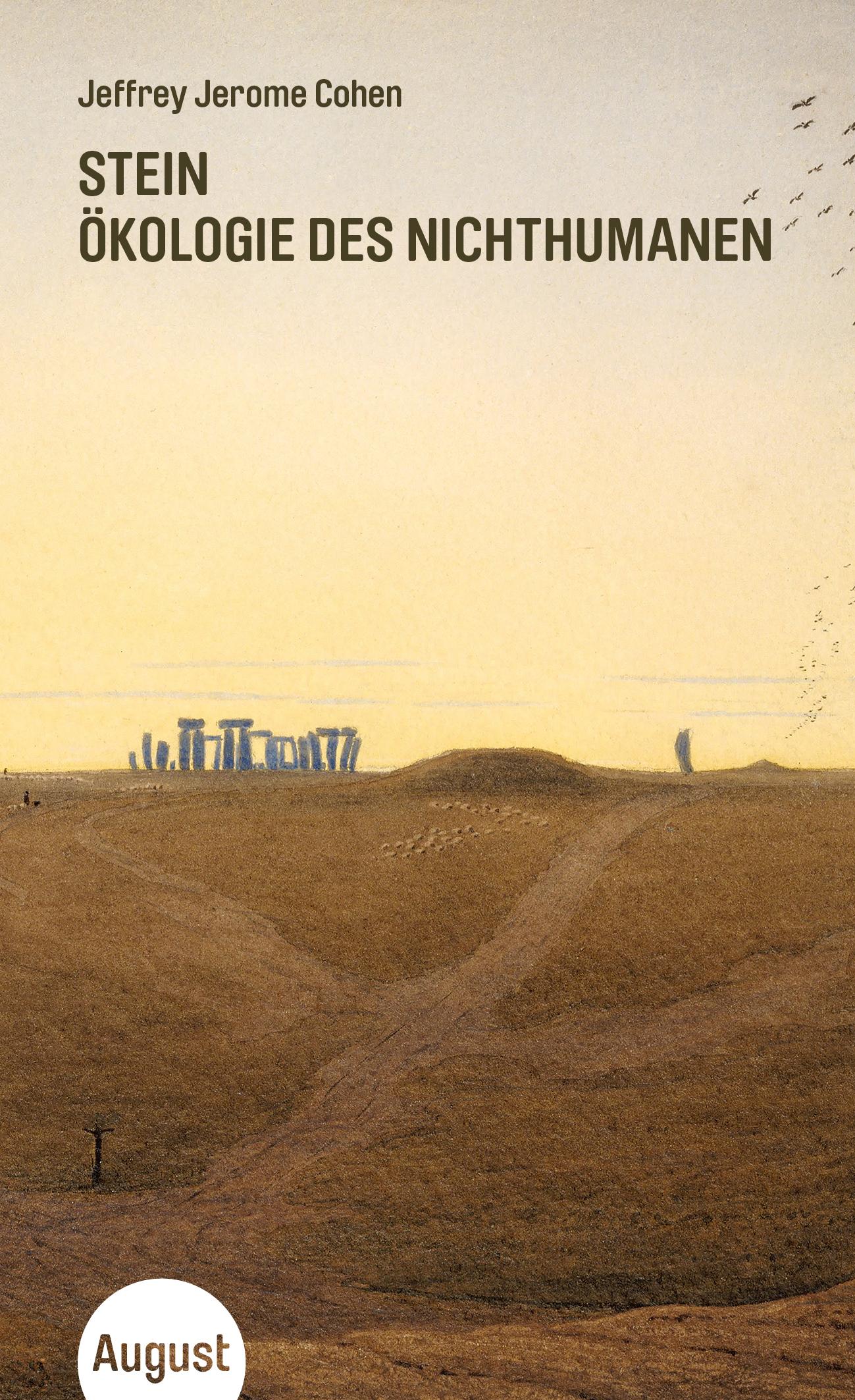 Vorderes Coverbild Stein
