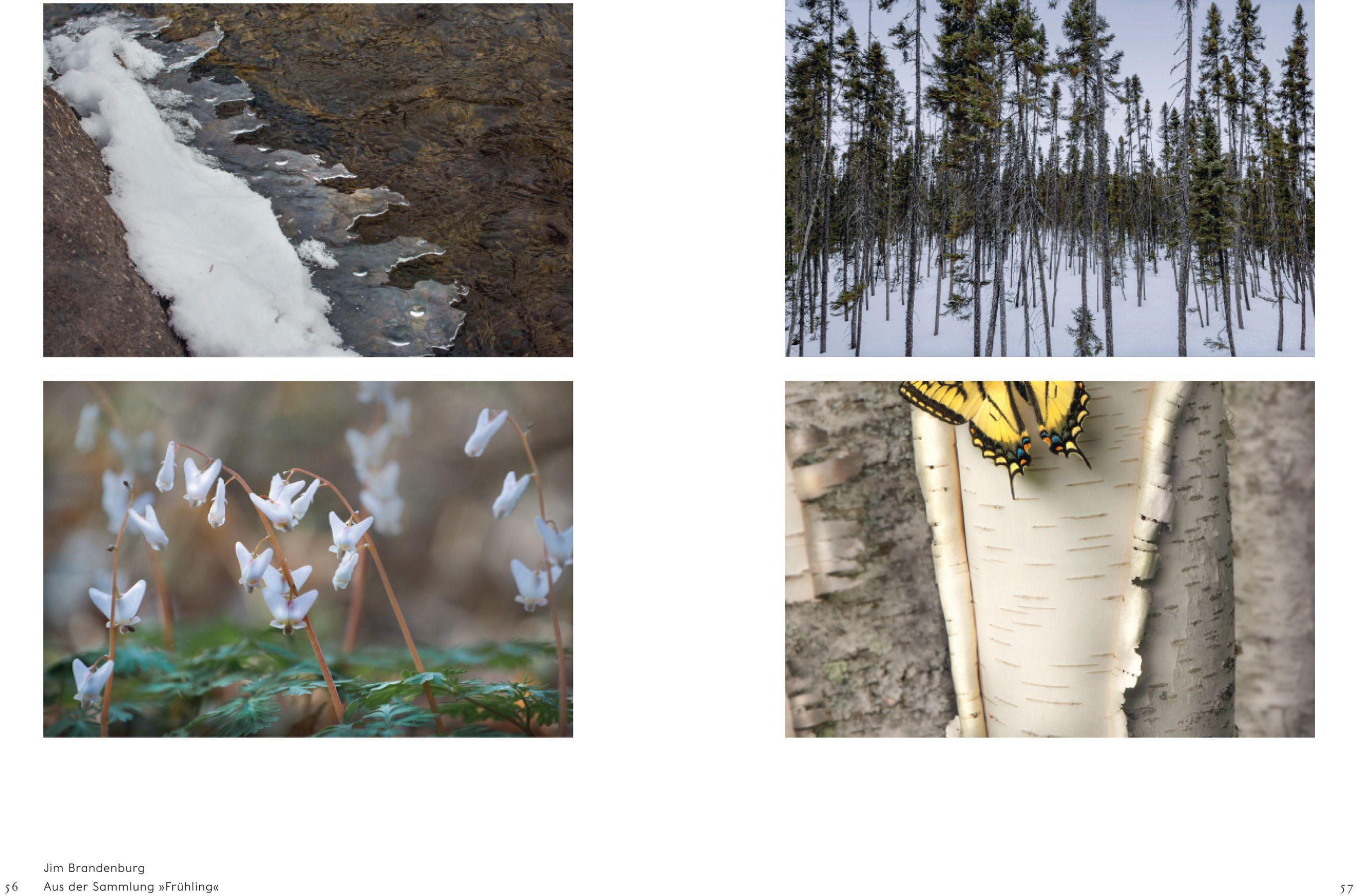 Beispielinhalt (Bild) Der achtsame Blick