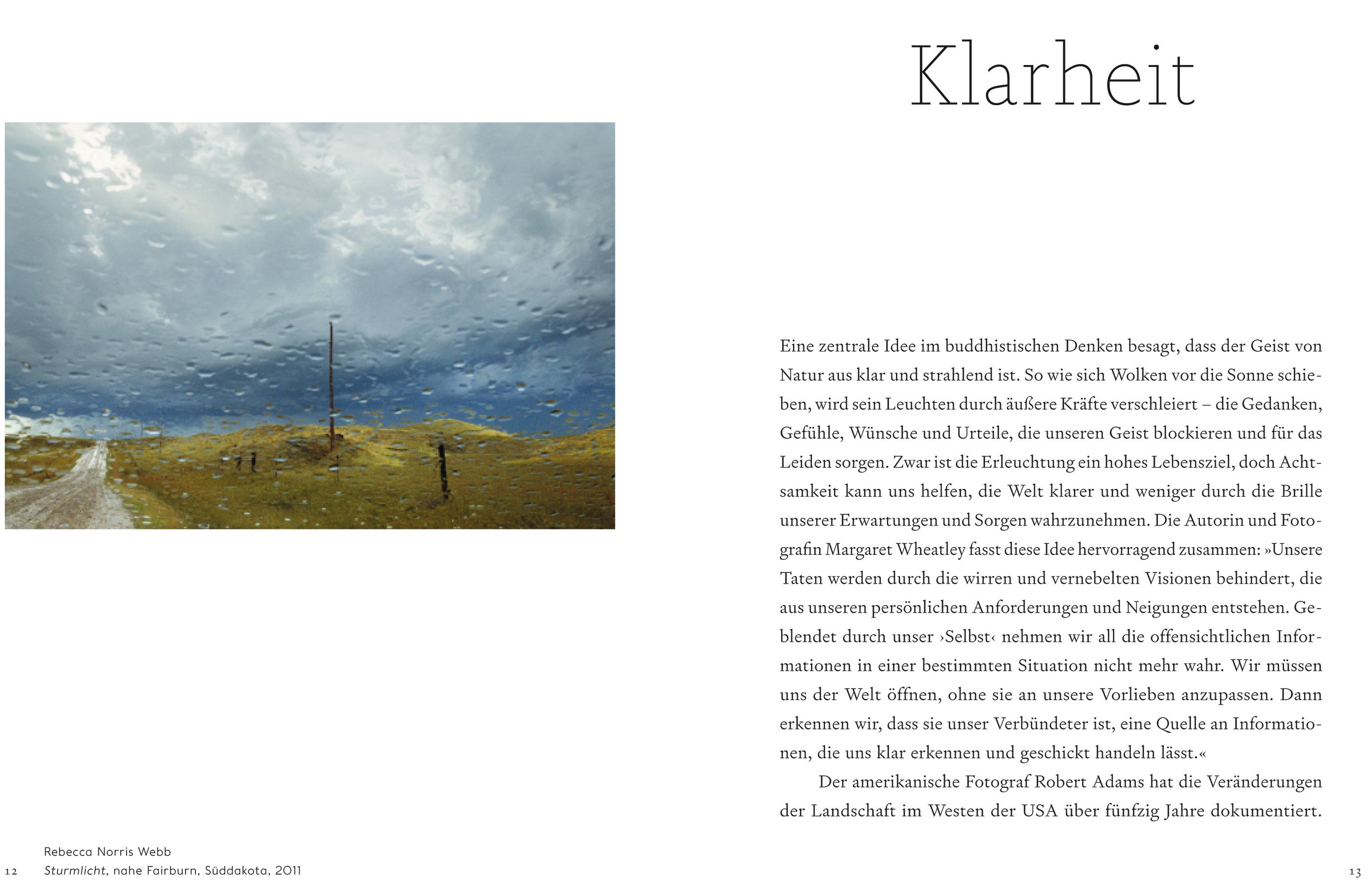 Beispielinhalt (Bild) Der achtsame Blick