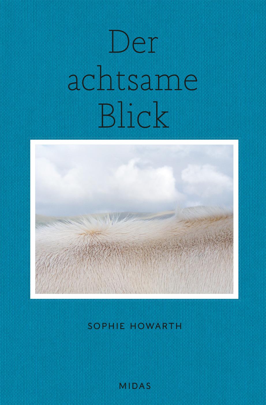 Vorderes Coverbild Der achtsame Blick