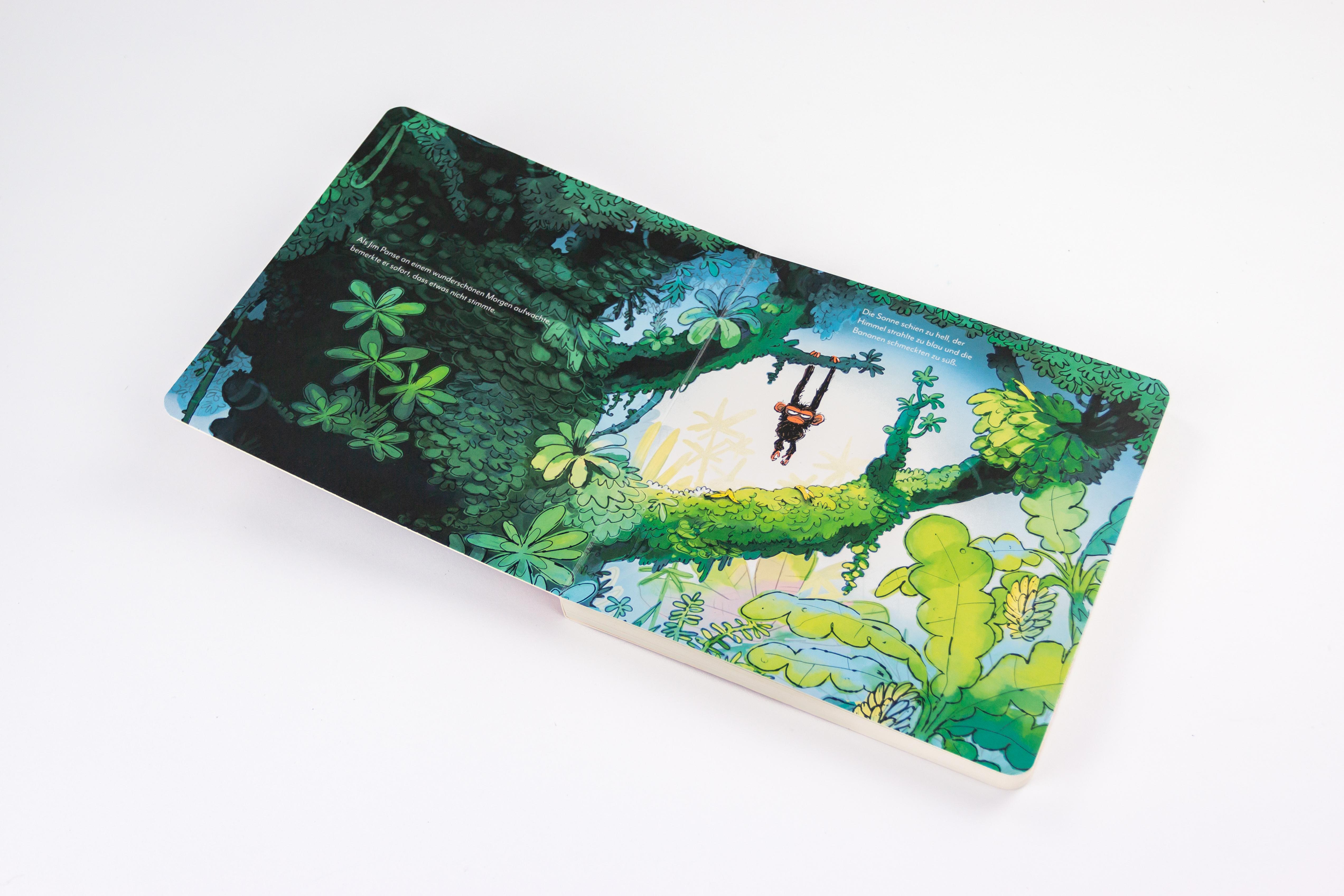 Beispielinhalt (Bild) Jim ist mies drauf (Pappbilderbuch)