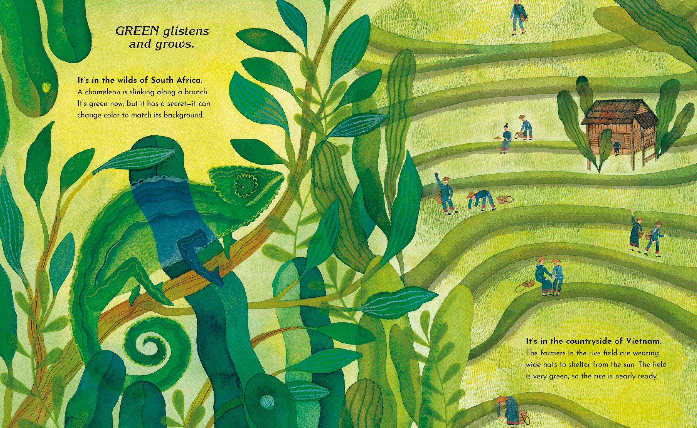 Beispielinhalt (Bild) Eine Welt, viele Farben