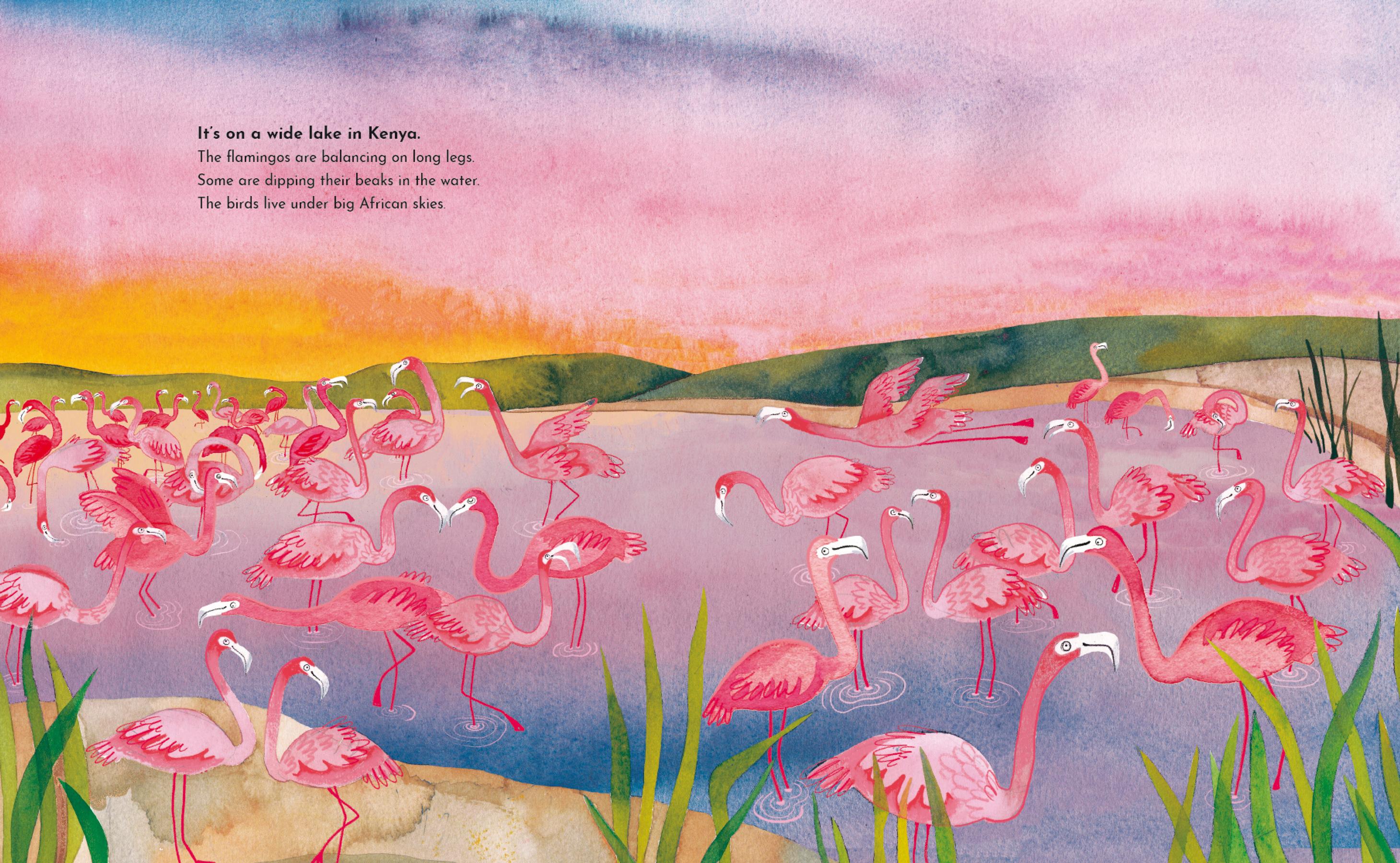 Beispielinhalt (Bild) Eine Welt, viele Farben