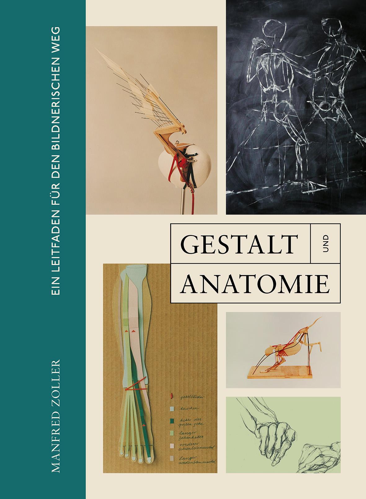 Vorderes Coverbild Gestalt und Anatomie