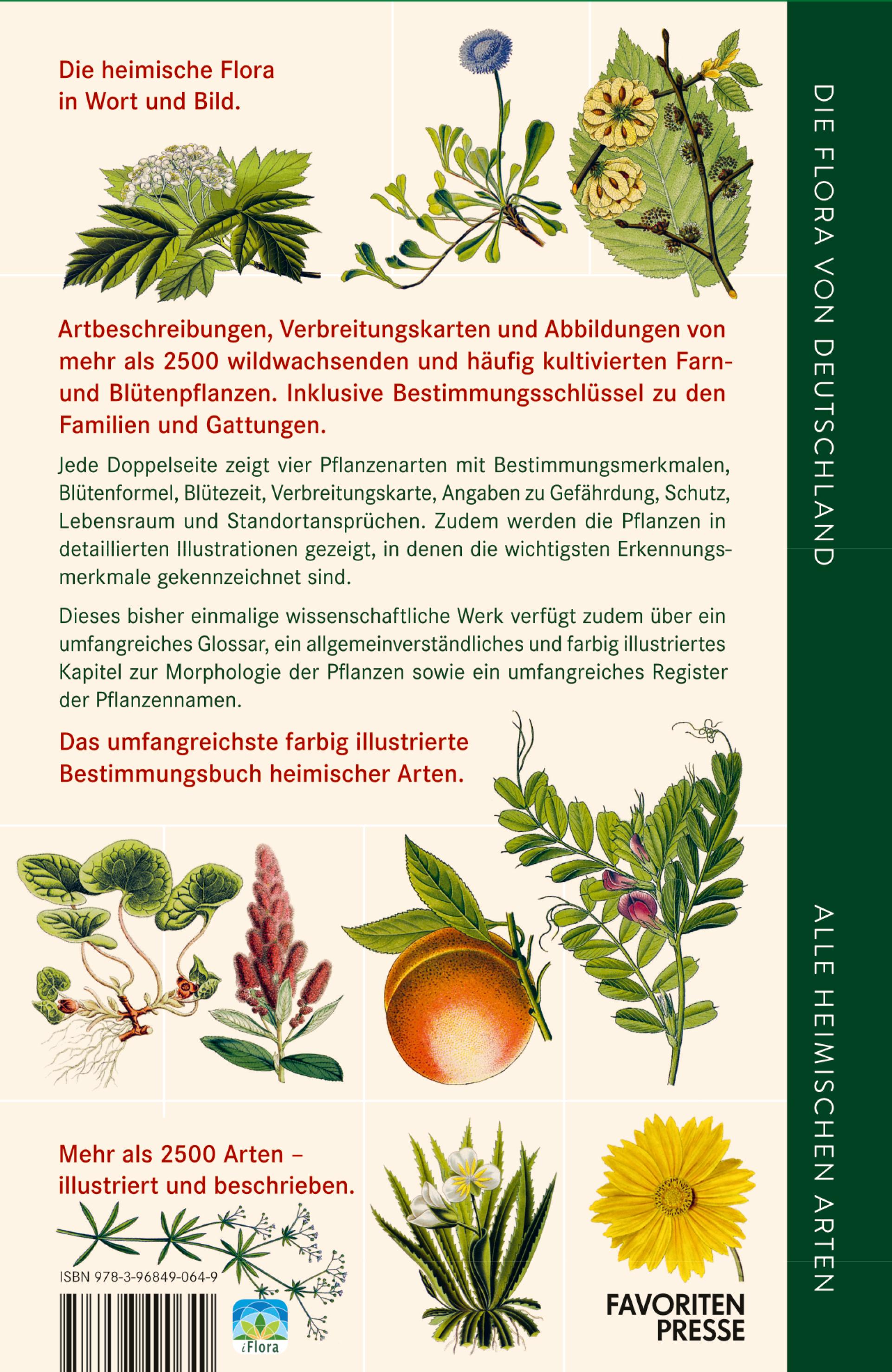 Rückseitencover Die Flora von Deutschland. Alle heimischen Arten
