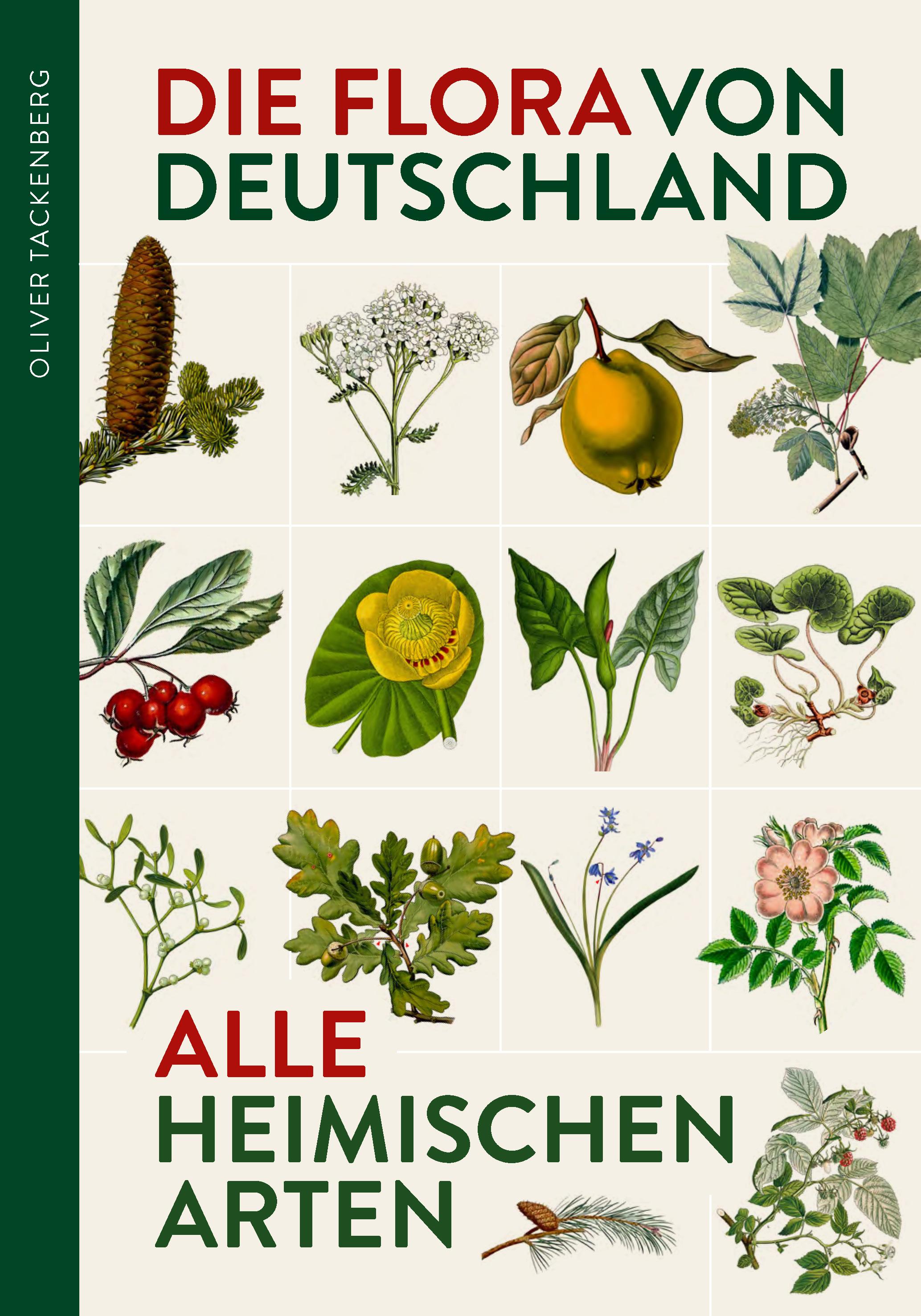 Vorderes Coverbild Die Flora von Deutschland. Alle heimischen Arten