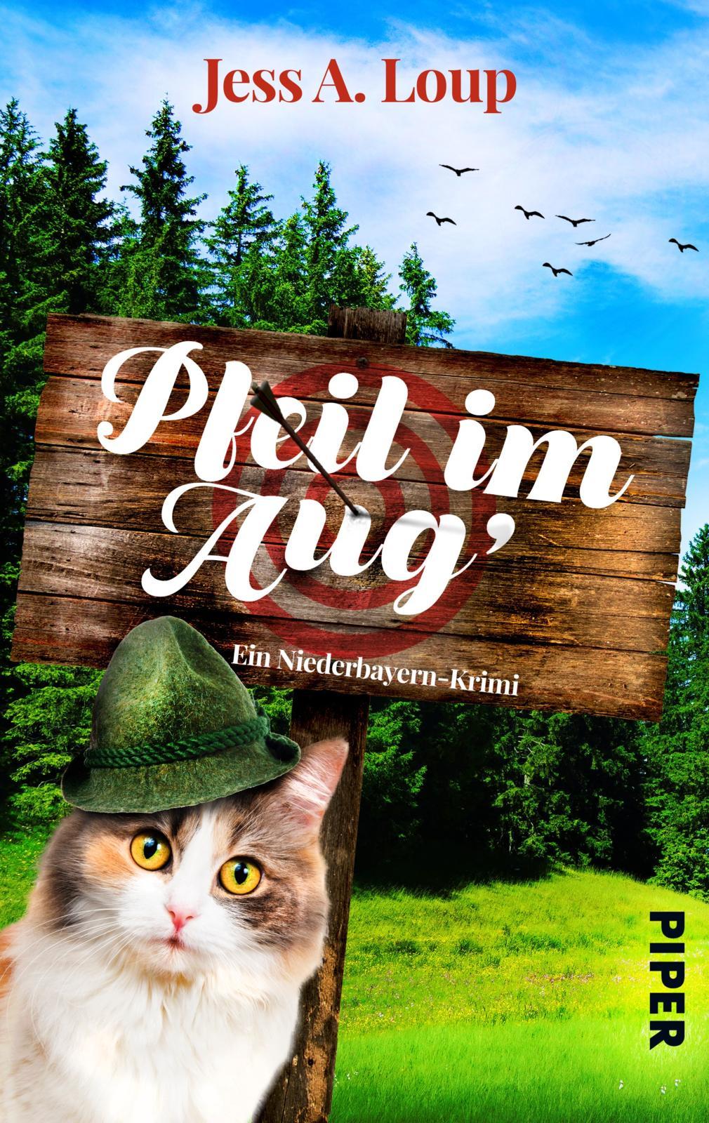 Vorderes Coverbild Pfeil im Aug'