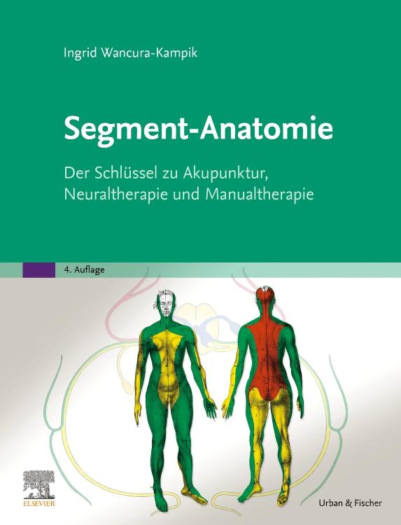 Vorderes Coverbild Segment-Anatomie