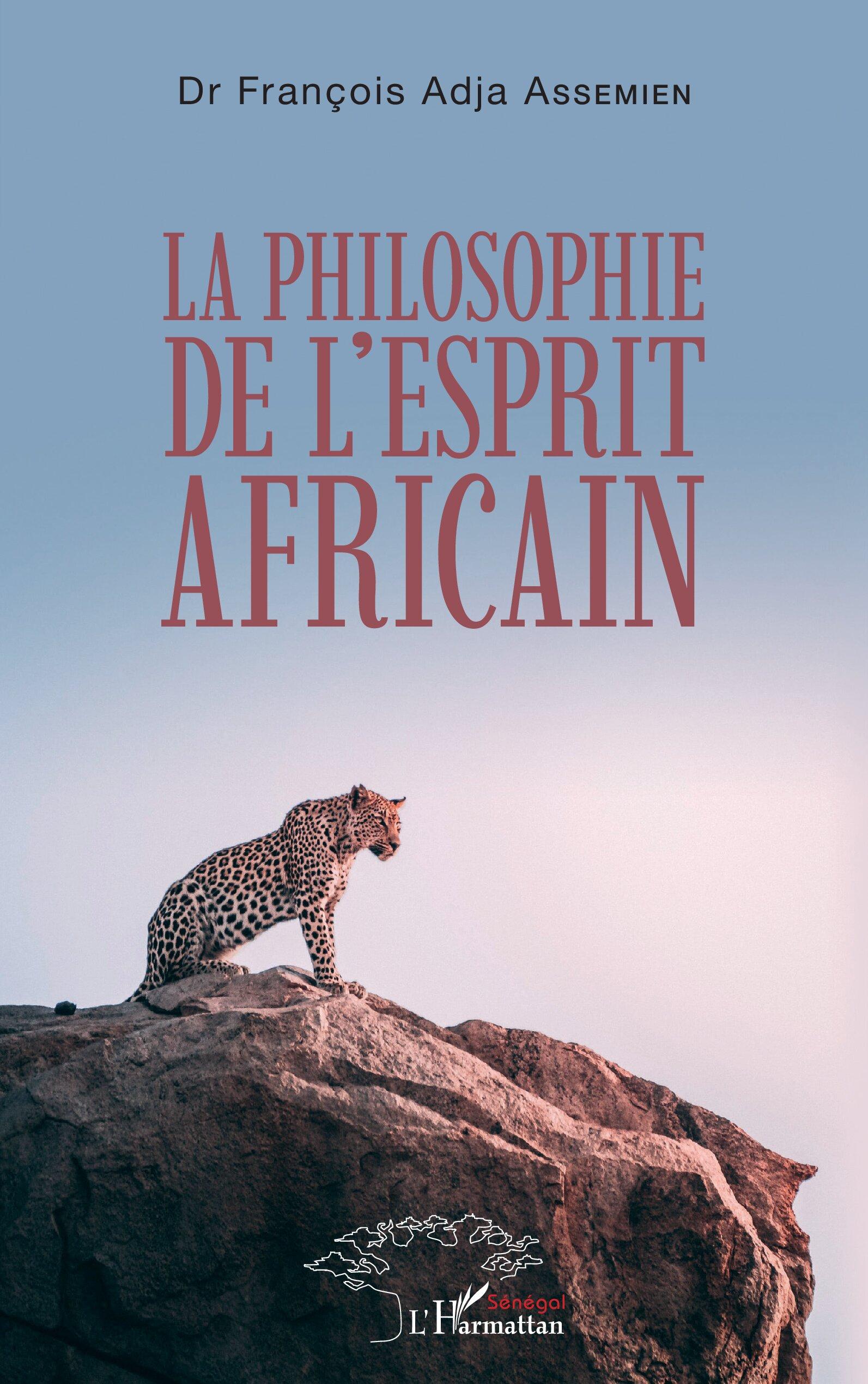 Vorderes Coverbild La philosophie de l'esprit africain