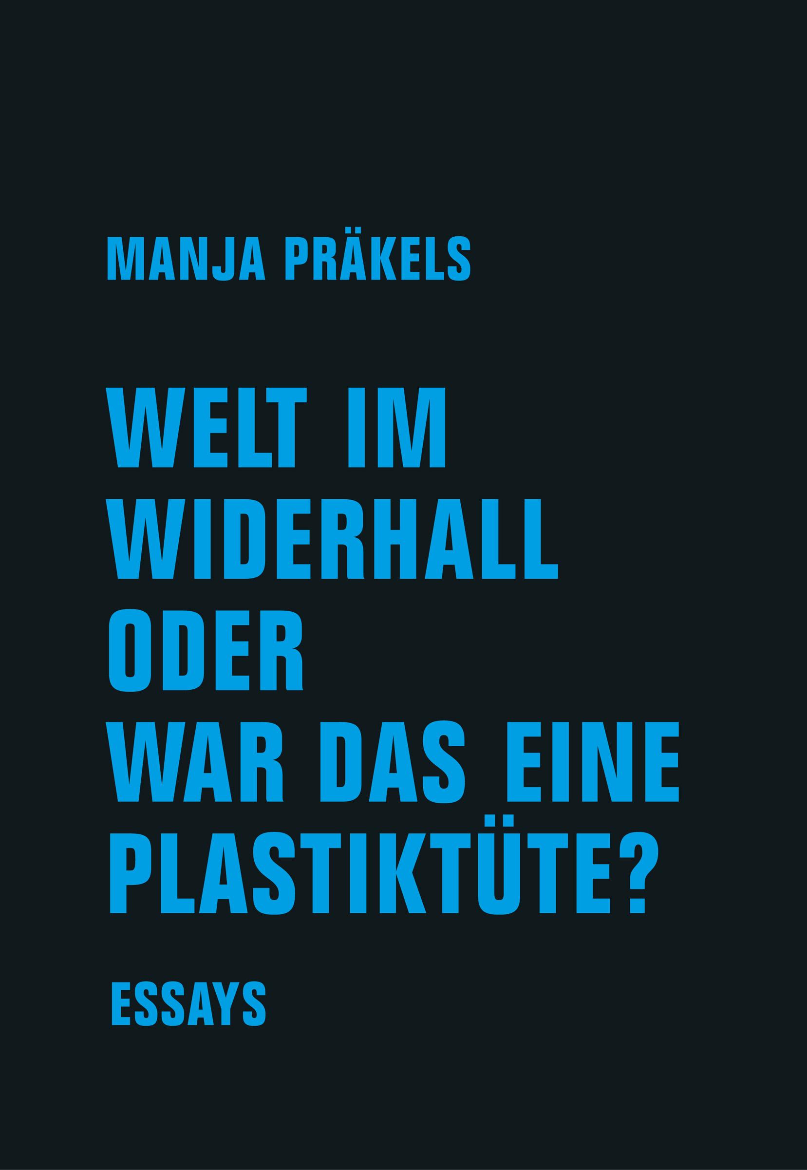 Vorderes Coverbild Welt im Widerhall oder war das eine Plastiktüte?