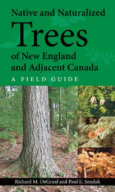 Vorderes Coverbild Native and Naturalized Trees of New England and Adjacent Canada