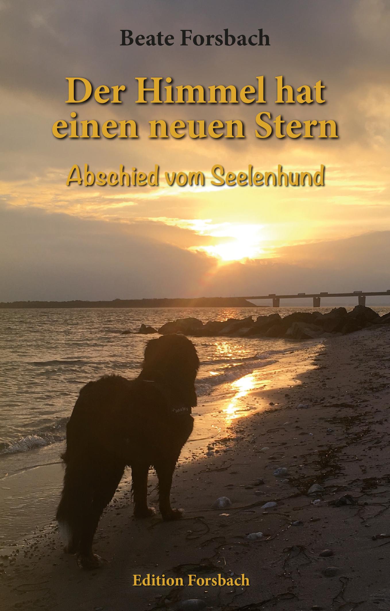 Vorderes Coverbild Der Himmel hat einen neuen Stern
