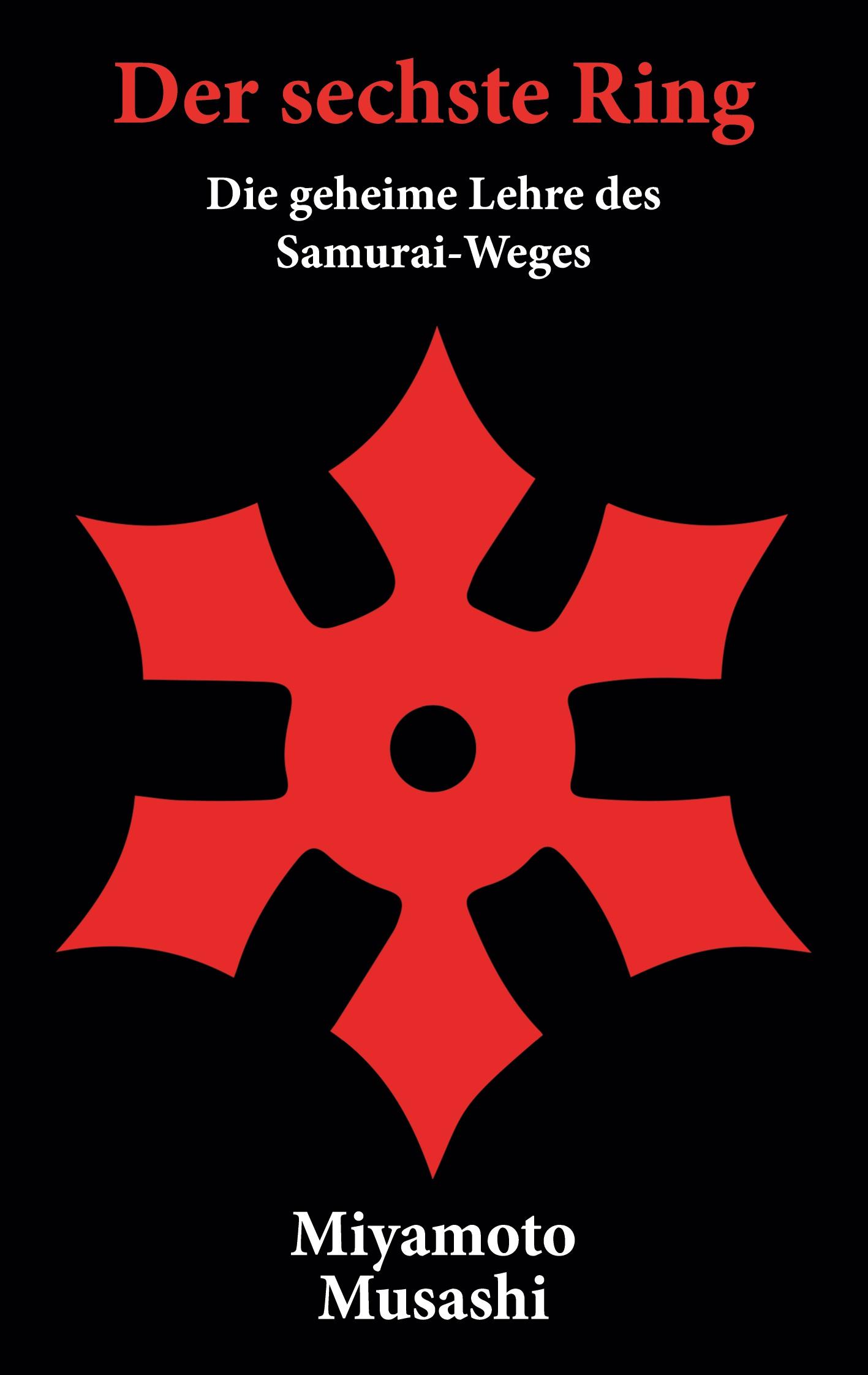Vorderes Coverbild Der sechste Ring