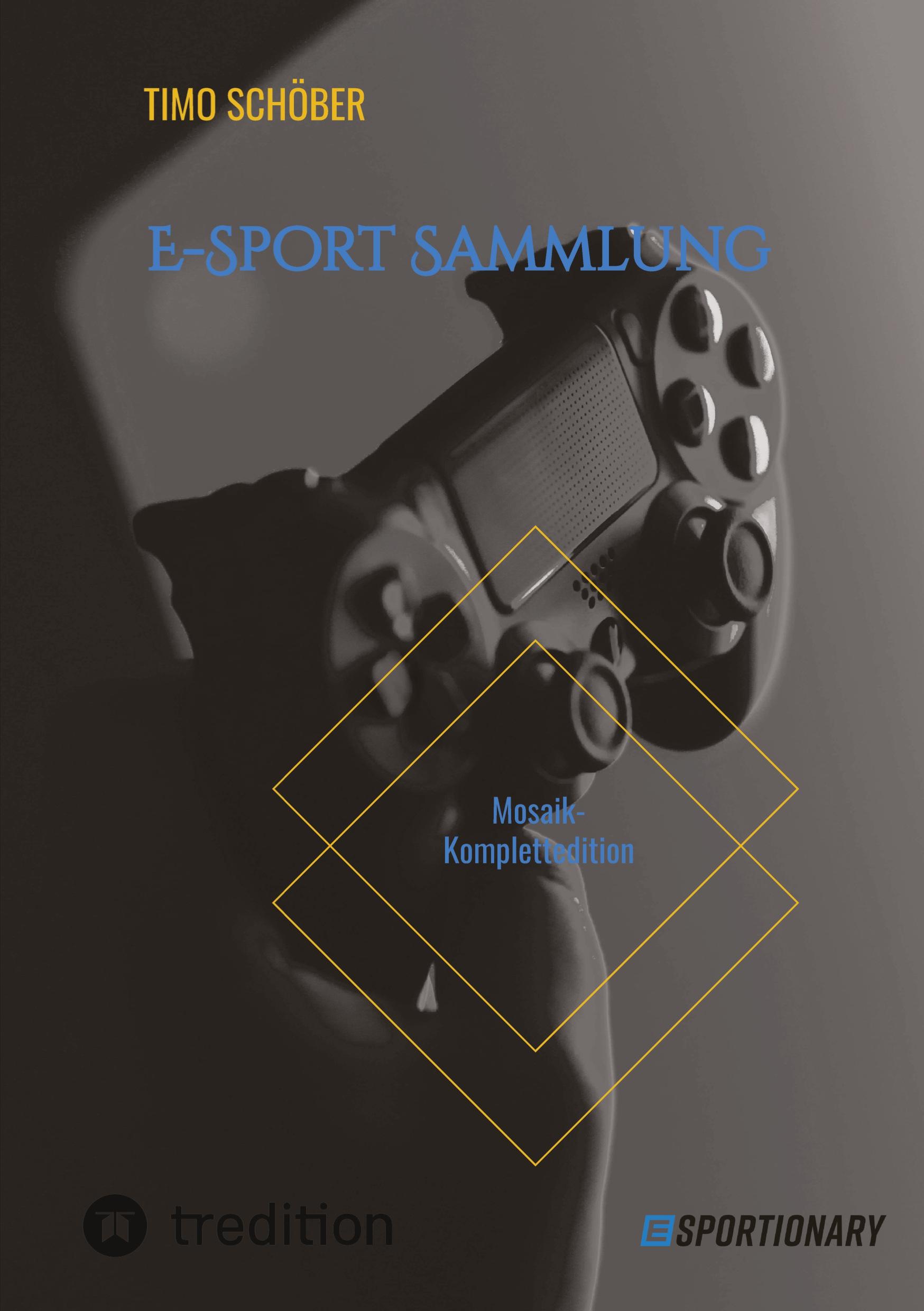 Vorderes Coverbild E-Sport Sammlung