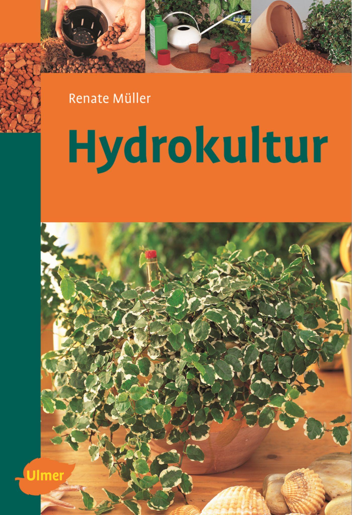 Vorderes Coverbild Hydrokultur