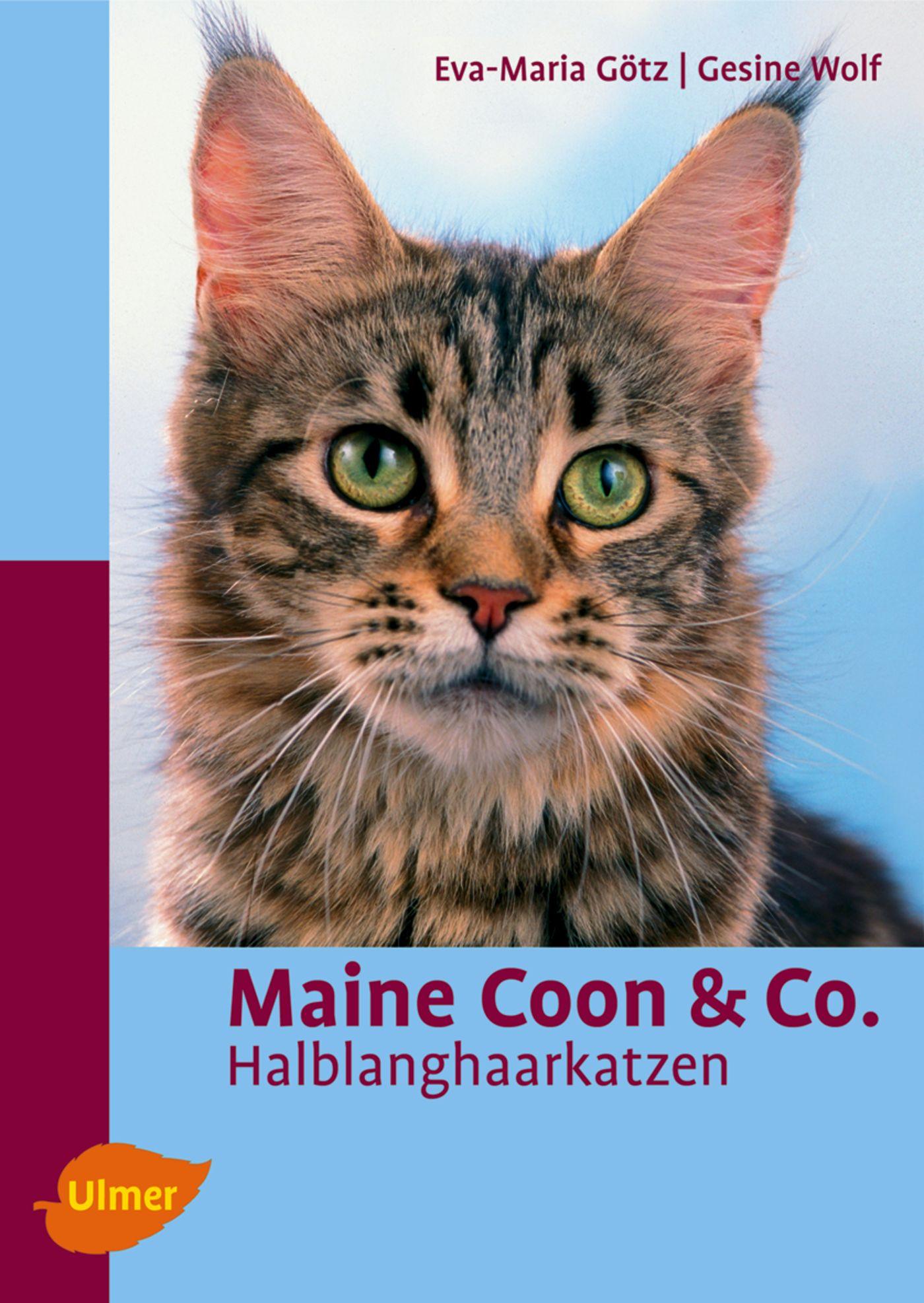Vorderes Coverbild Maine Coon & Co