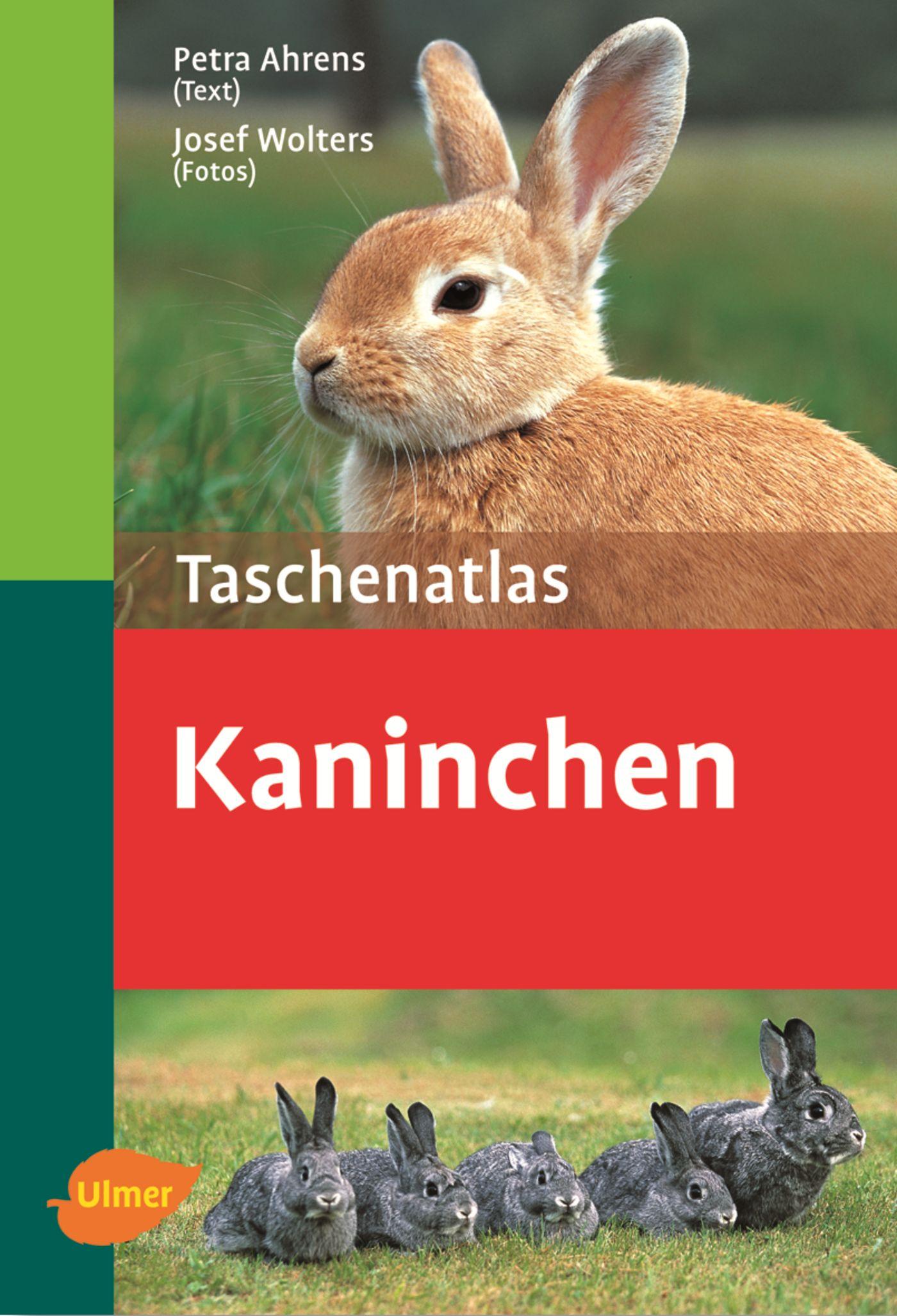 Vorderes Coverbild Taschenatlas Kaninchen