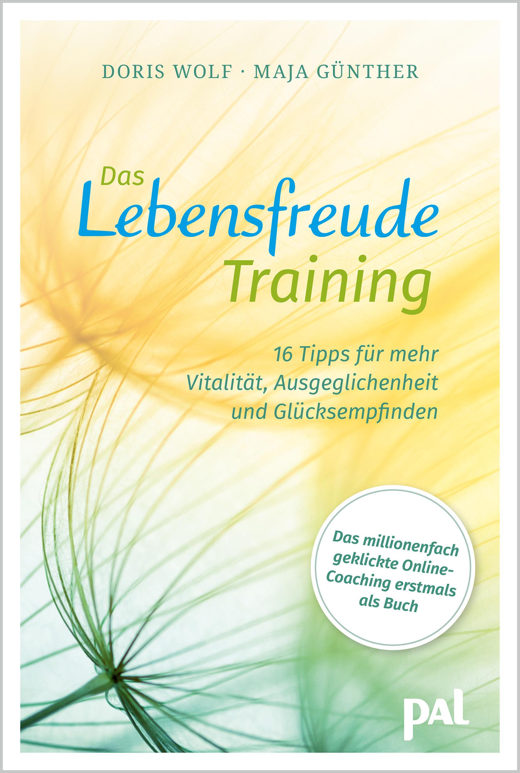 Vorderes Coverbild Das Lebensfreude-Training