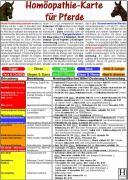 Vorderes Coverbild Homöopathie für Pferde DIN A5