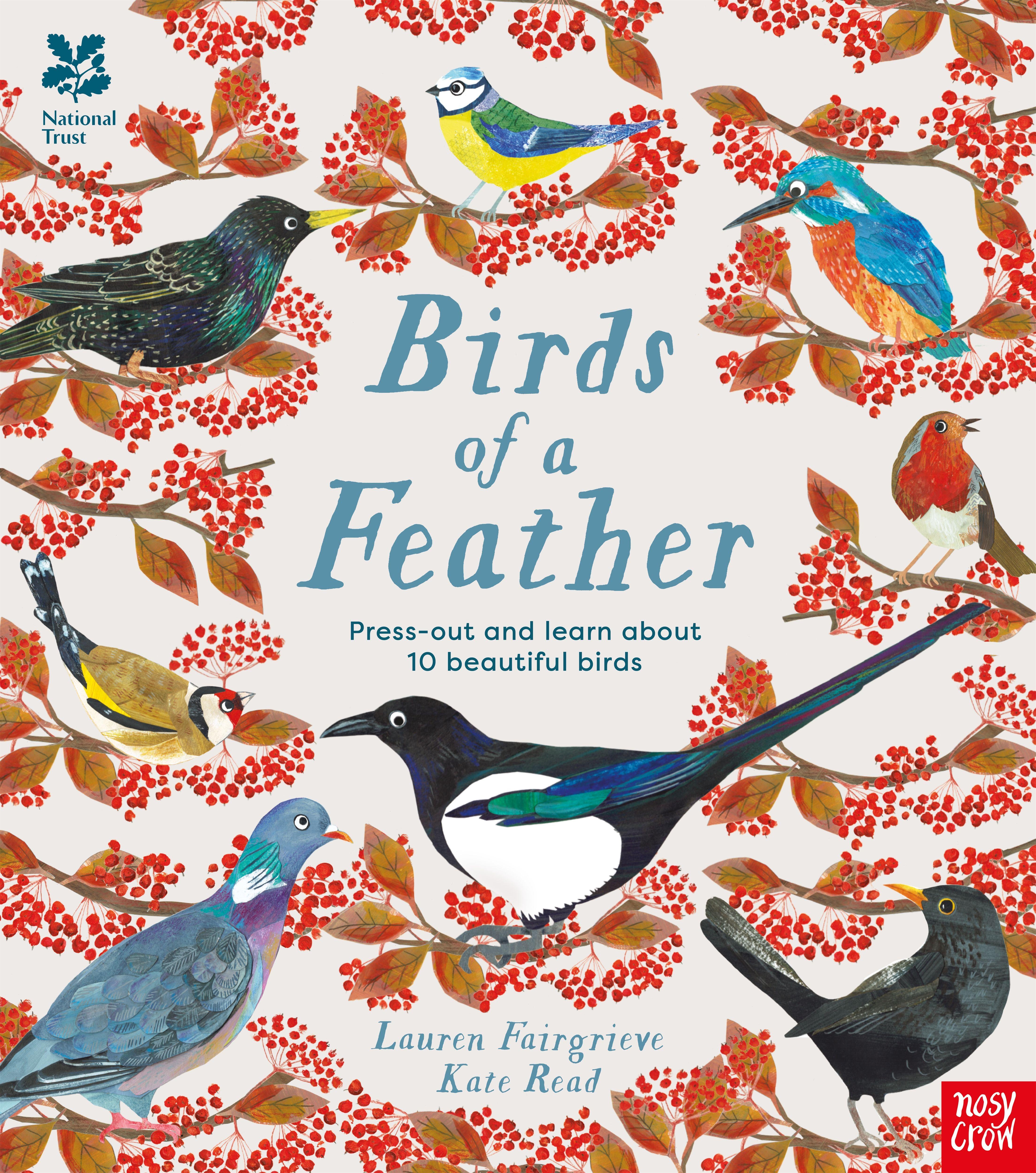 Vorderes Coverbild National Trust: Birds of a Feather: Press out and learn about 10 beautiful birds