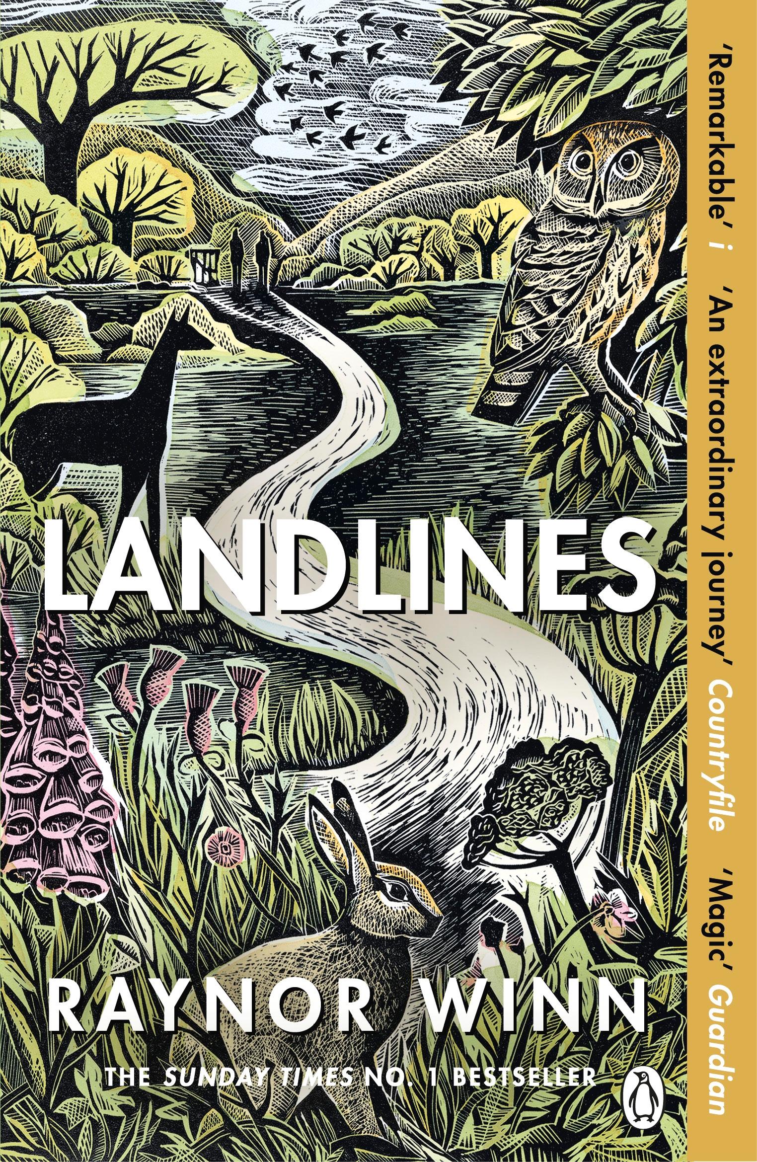 Vorderes Coverbild Landlines