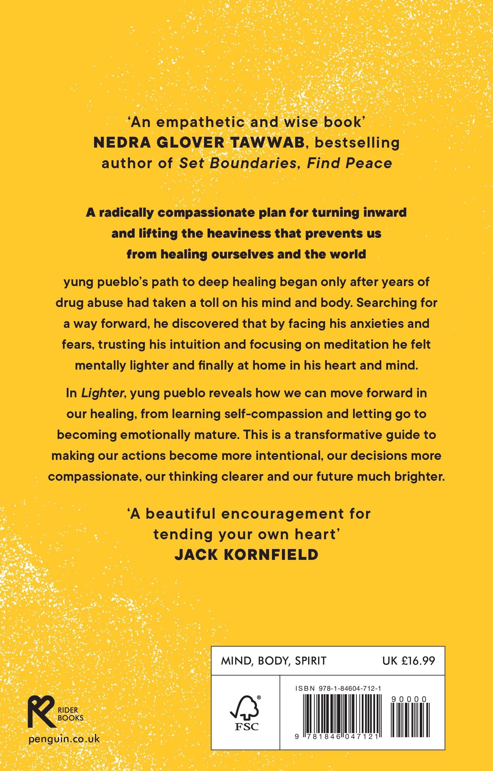 Rückseitencover Lighter