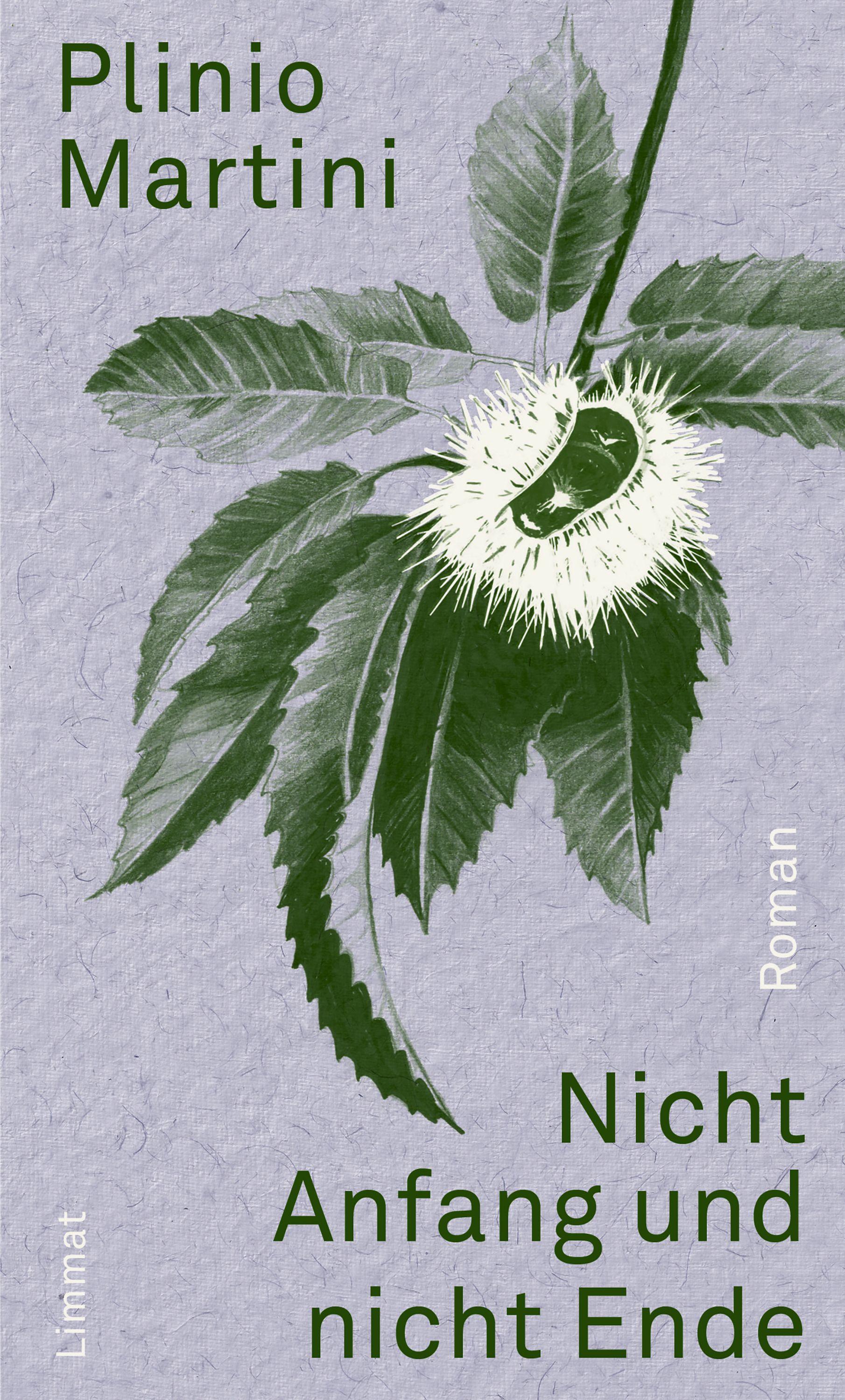 Vorderes Coverbild Nicht Anfang und nicht Ende