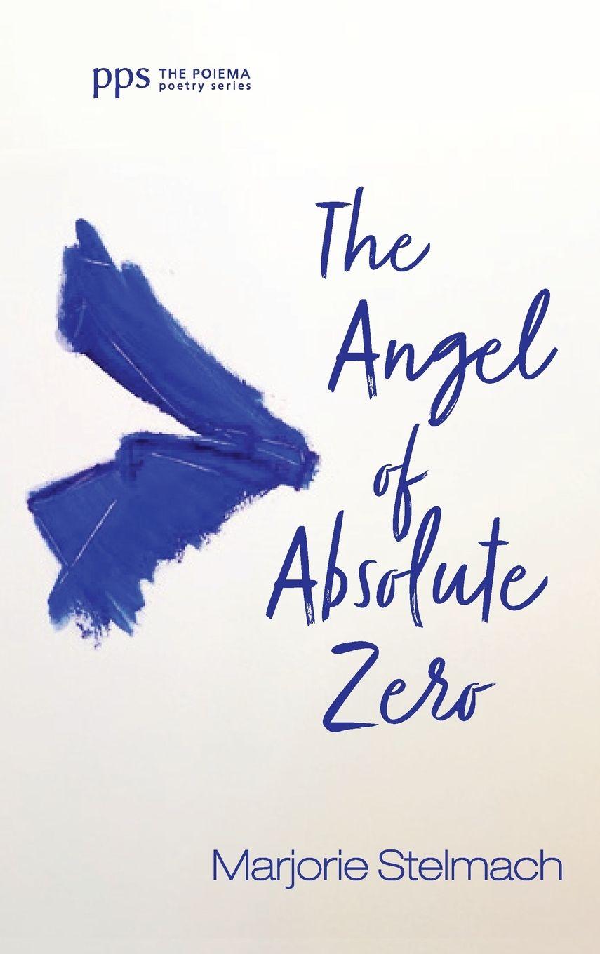 Vorderes Coverbild The Angel of Absolute Zero