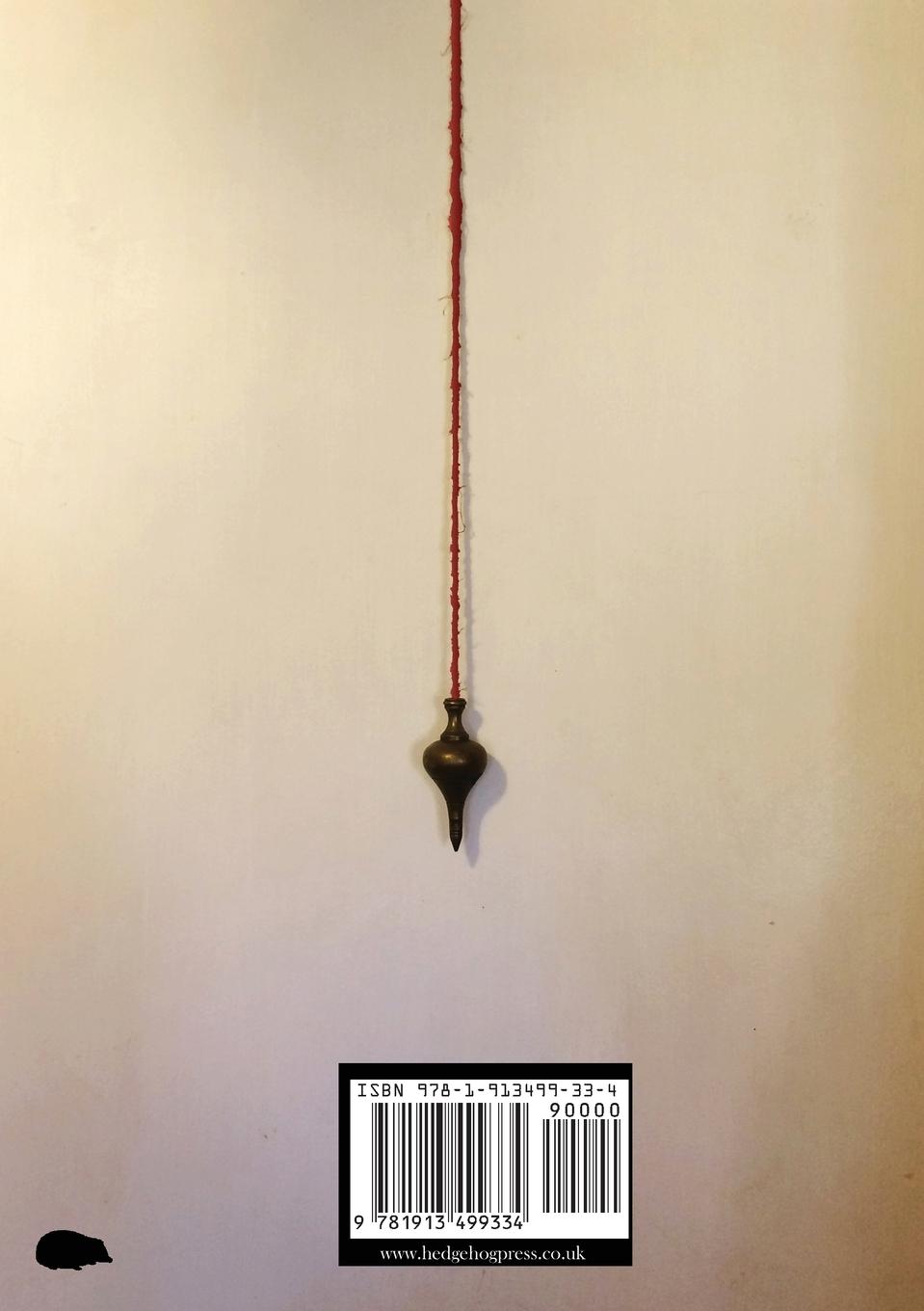 Rückseitencover The Plumb Line