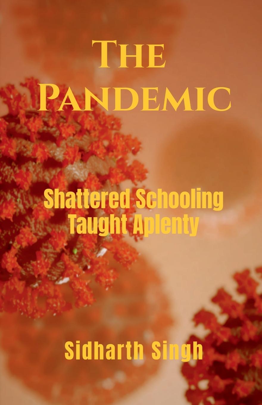 Vorderes Coverbild THE PANDEMIC