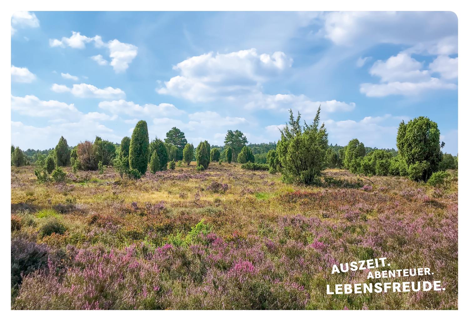 Beispielinhalt (Bild) 52 kleine & große Eskapaden in der Lüneburger Heide